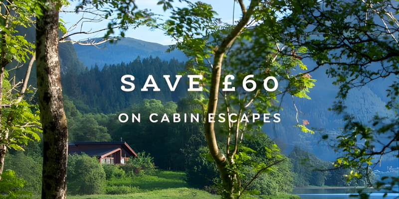 Lush green landscape with a cozy cabin nestled among trees, set against a backdrop of rolling hills and serene water.