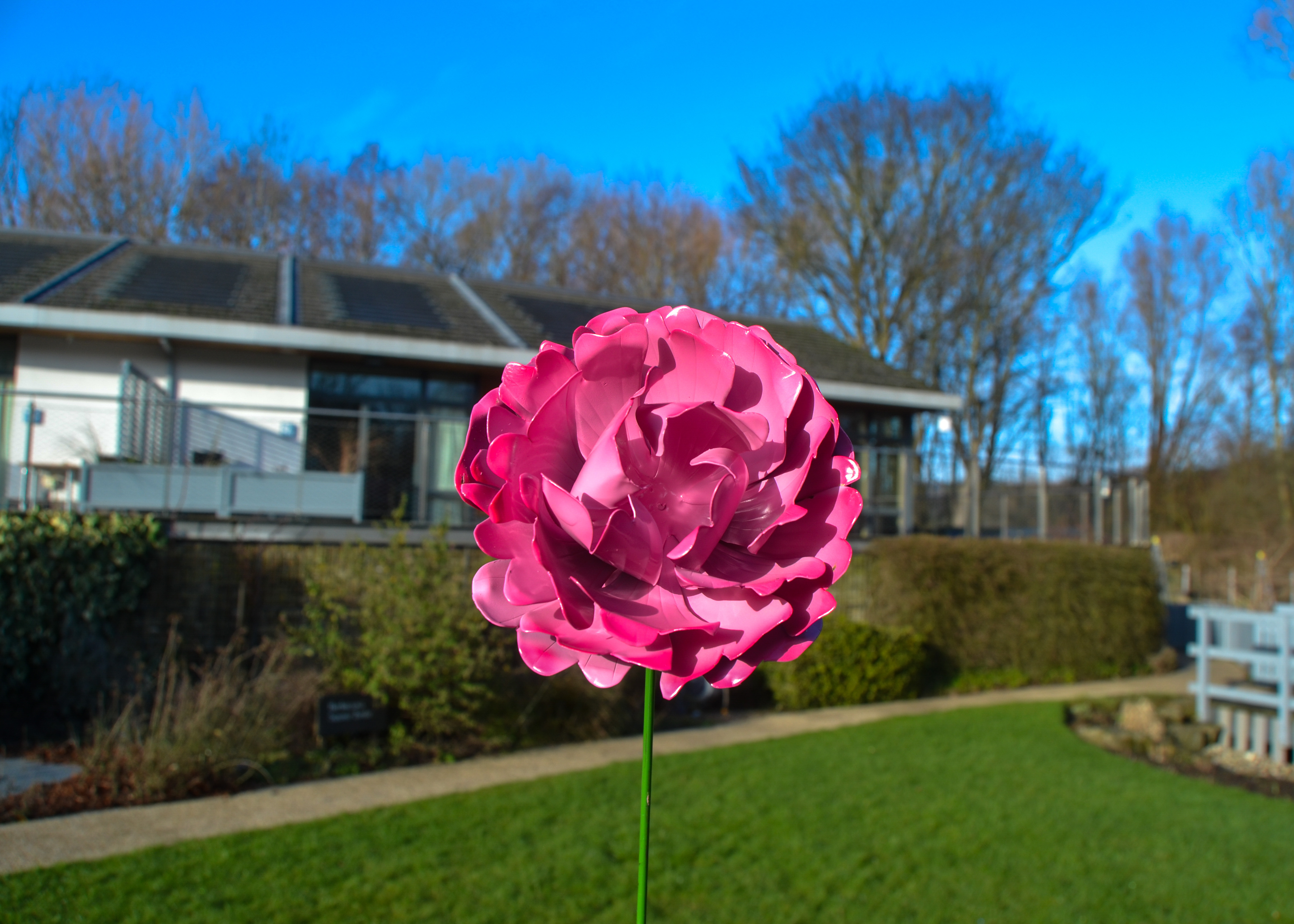 Honoring a Loved One with The Kirkwood’s Mother's Day in Bloom