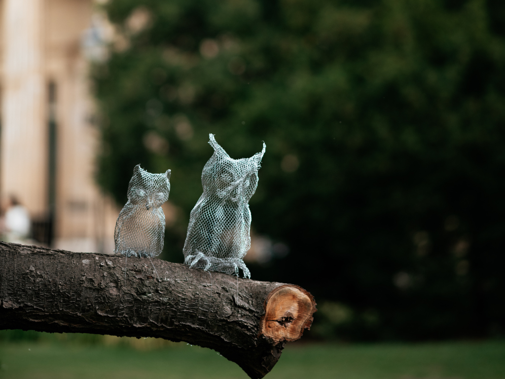 Two wire owl sculptures perched on a tree branch in a garden
