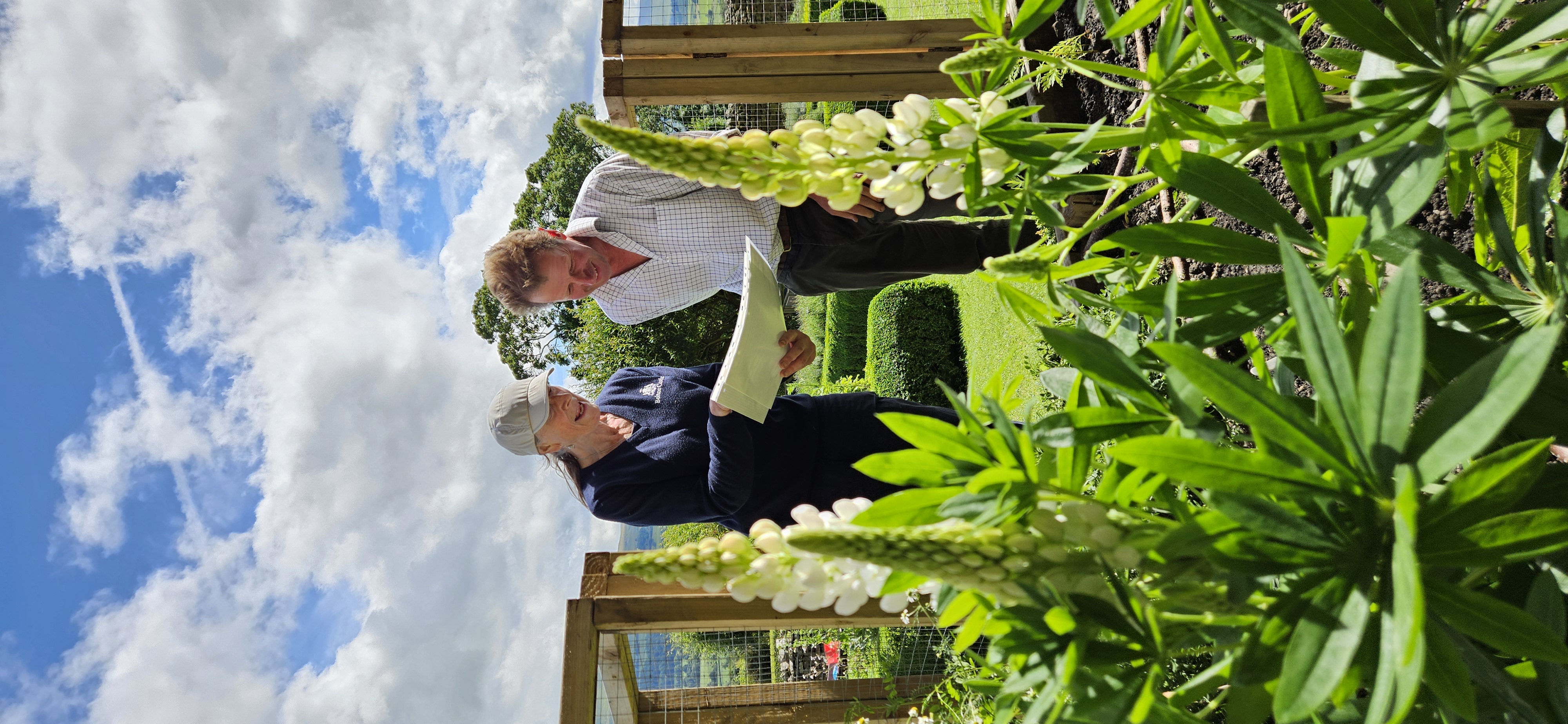 Two people reading a map in a lush garden under a blue sky