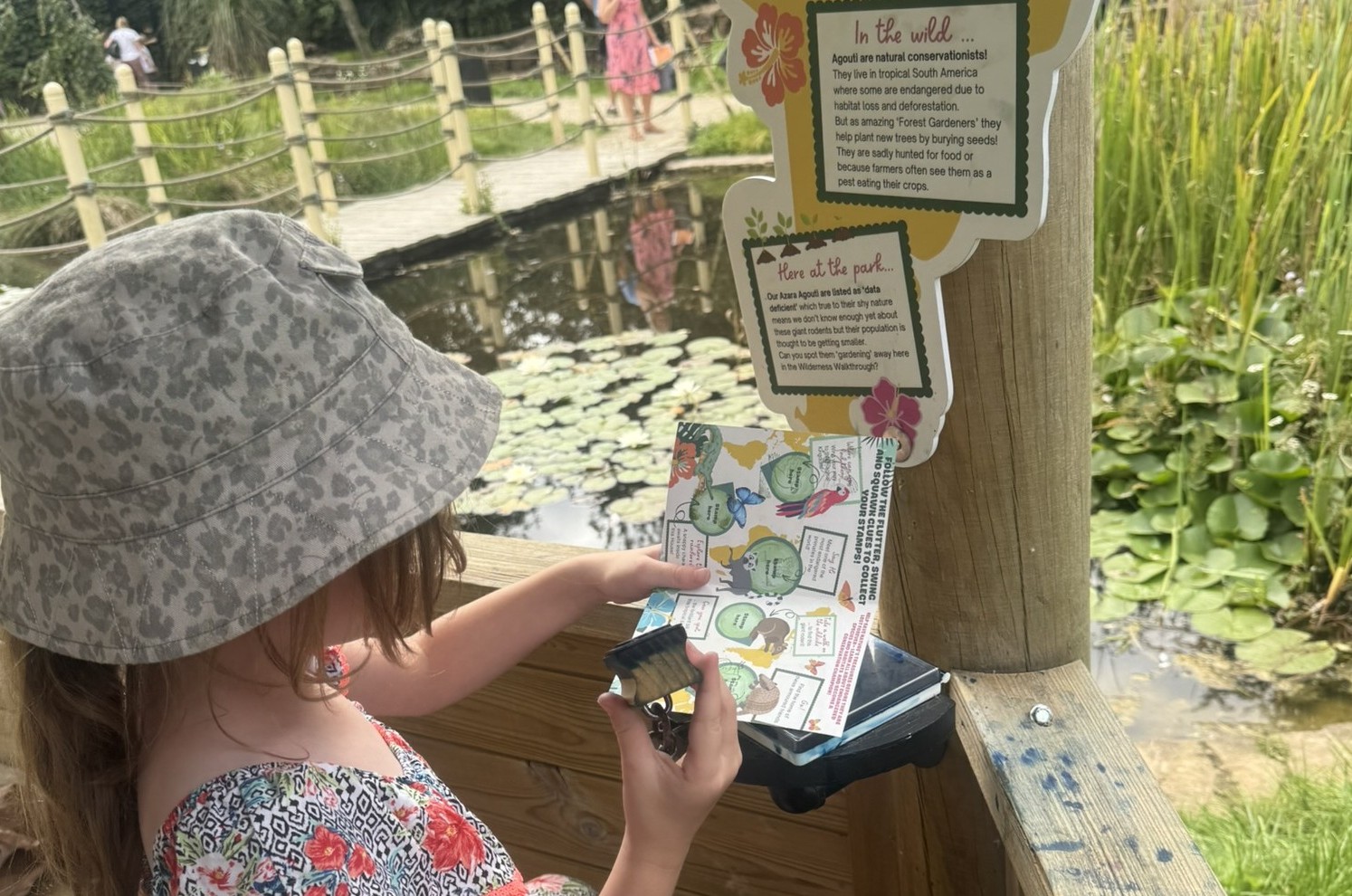 Child in floral dress reading map by lily pond in nature reserve