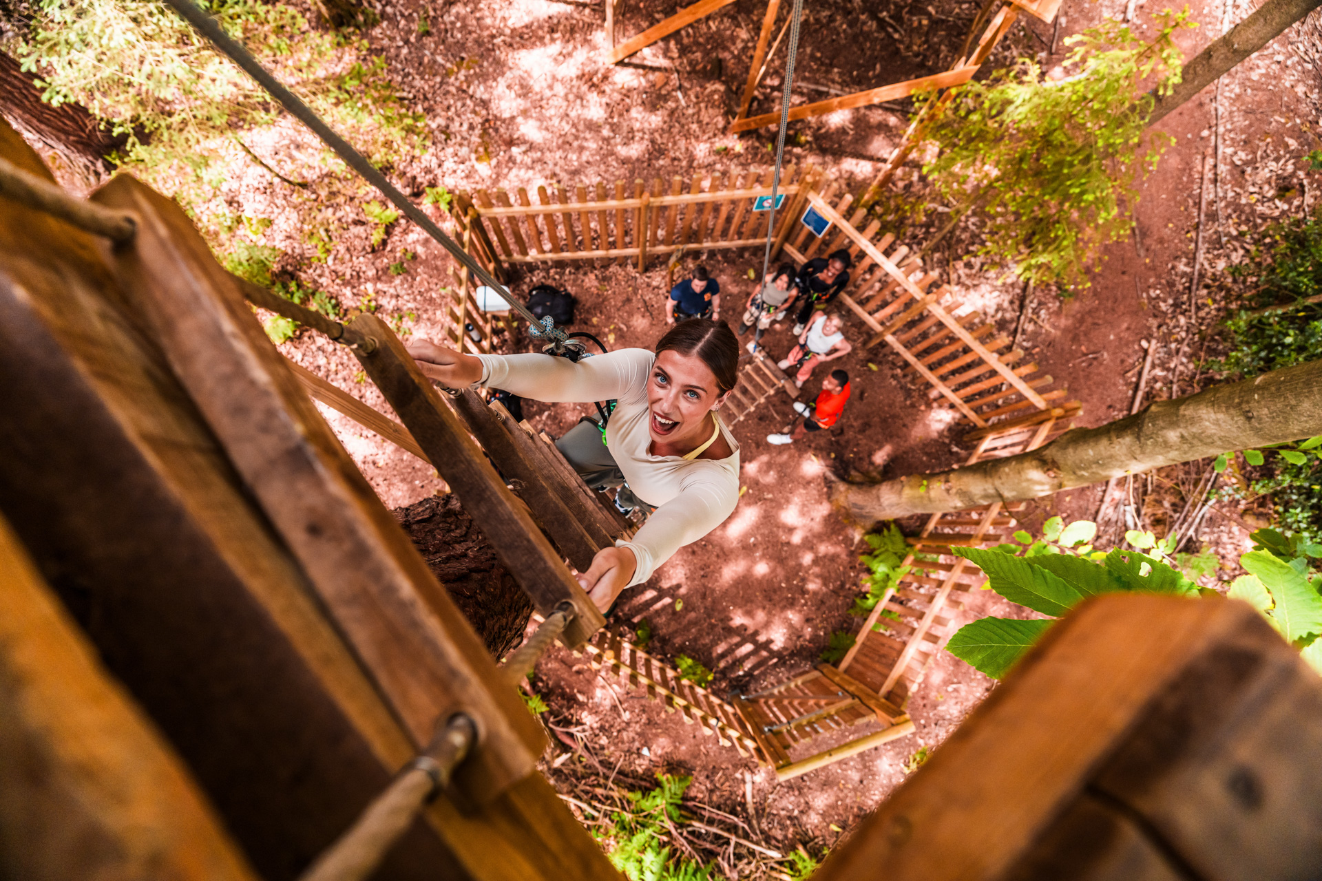 Person climbing wooden ladder in treetop adventure park