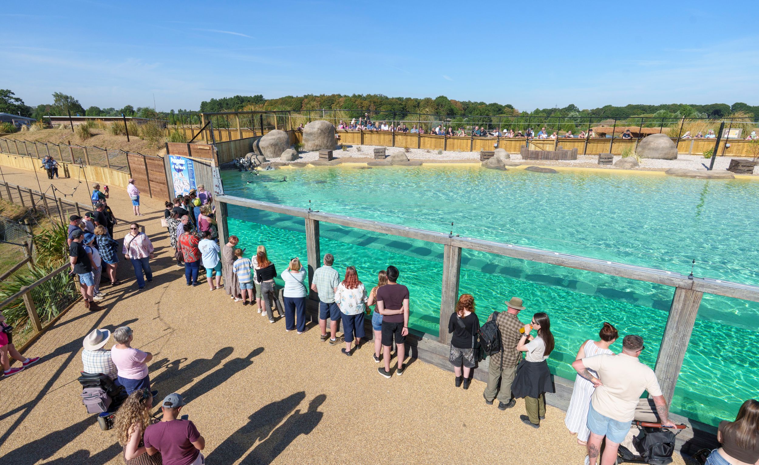 Visitors observing clear turquoise waters at a zoo enclosure