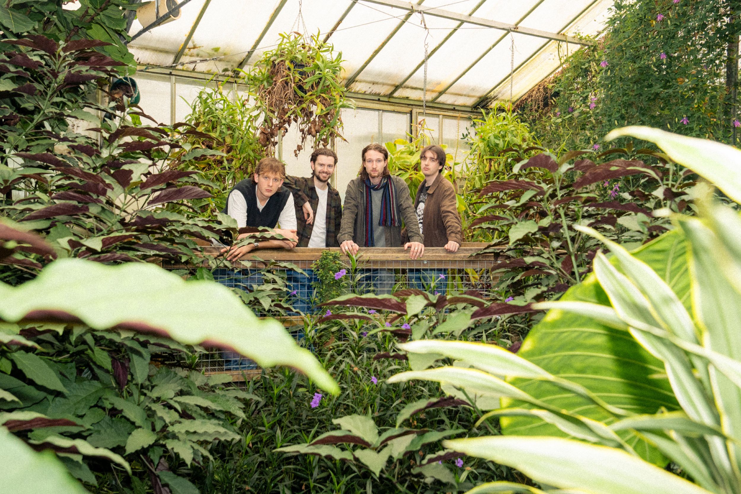 Four people standing on a wooden bridge in a lush greenhouse