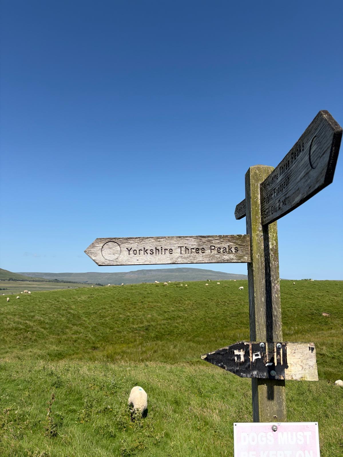 Wooden signpost pointing to Yorkshire Three Peaks over grassy hills