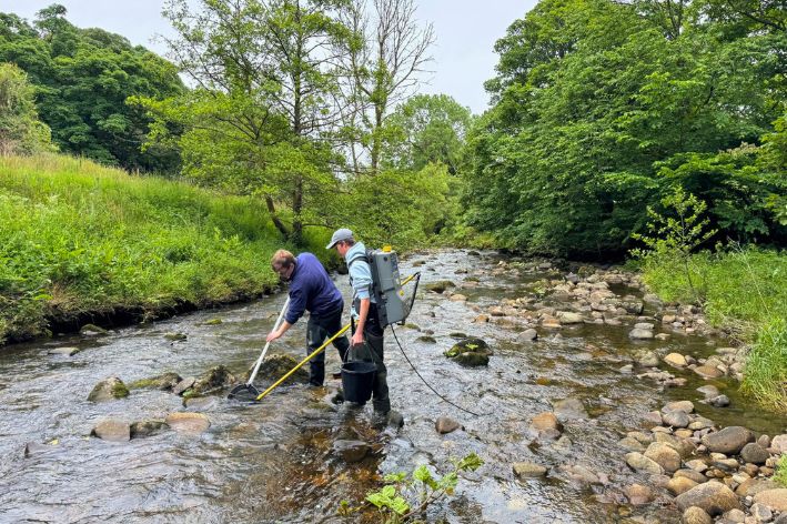 Two people in a stream conducting a river survey with lush greenery