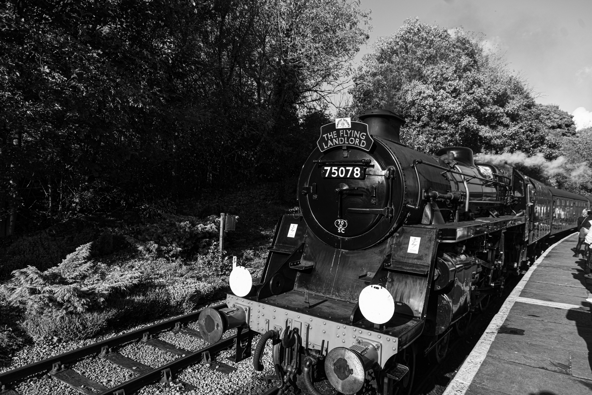 Vintage steam train on rural track with lush trees