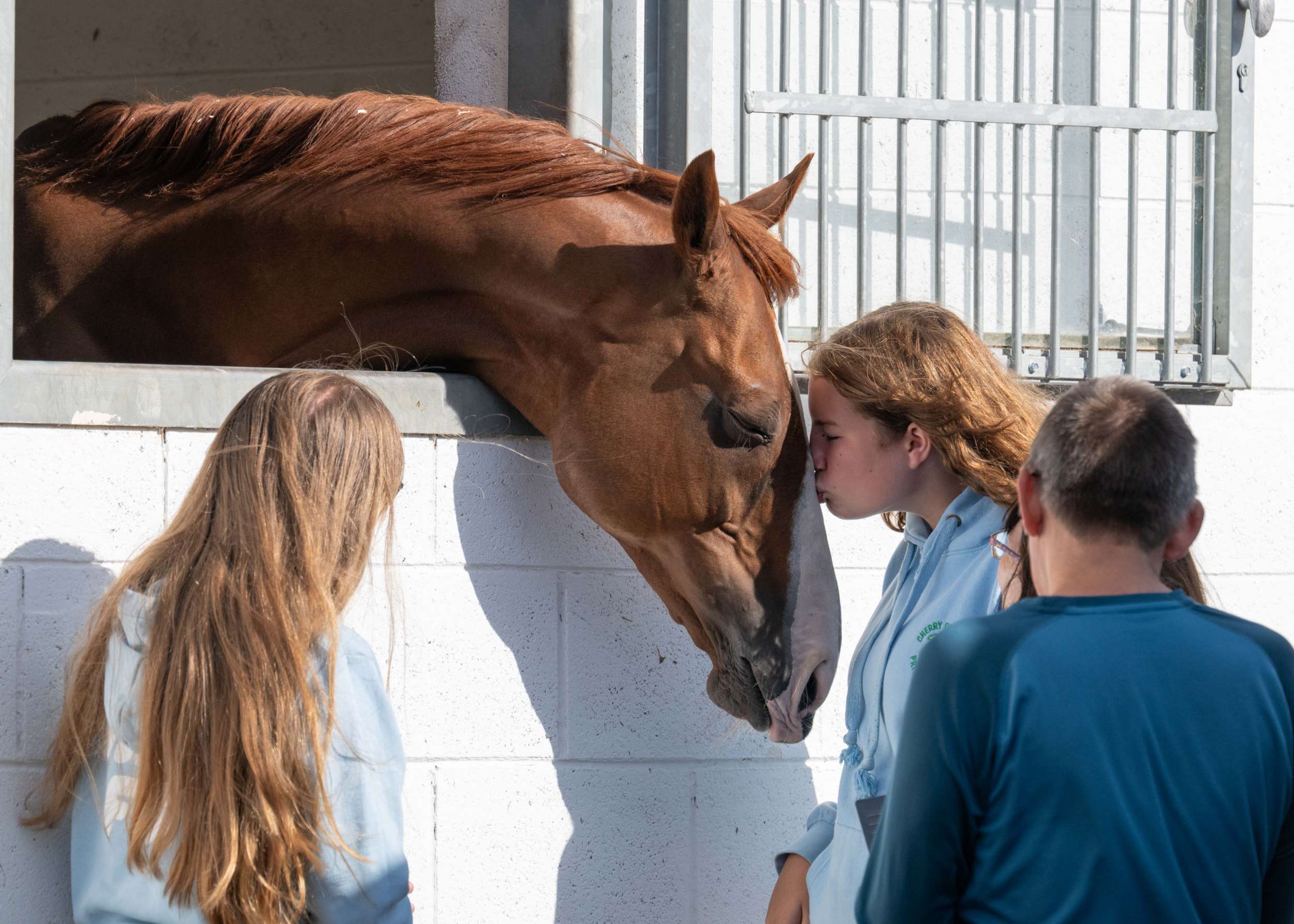Horse nuzzling girl with long hair in stable while others watch
