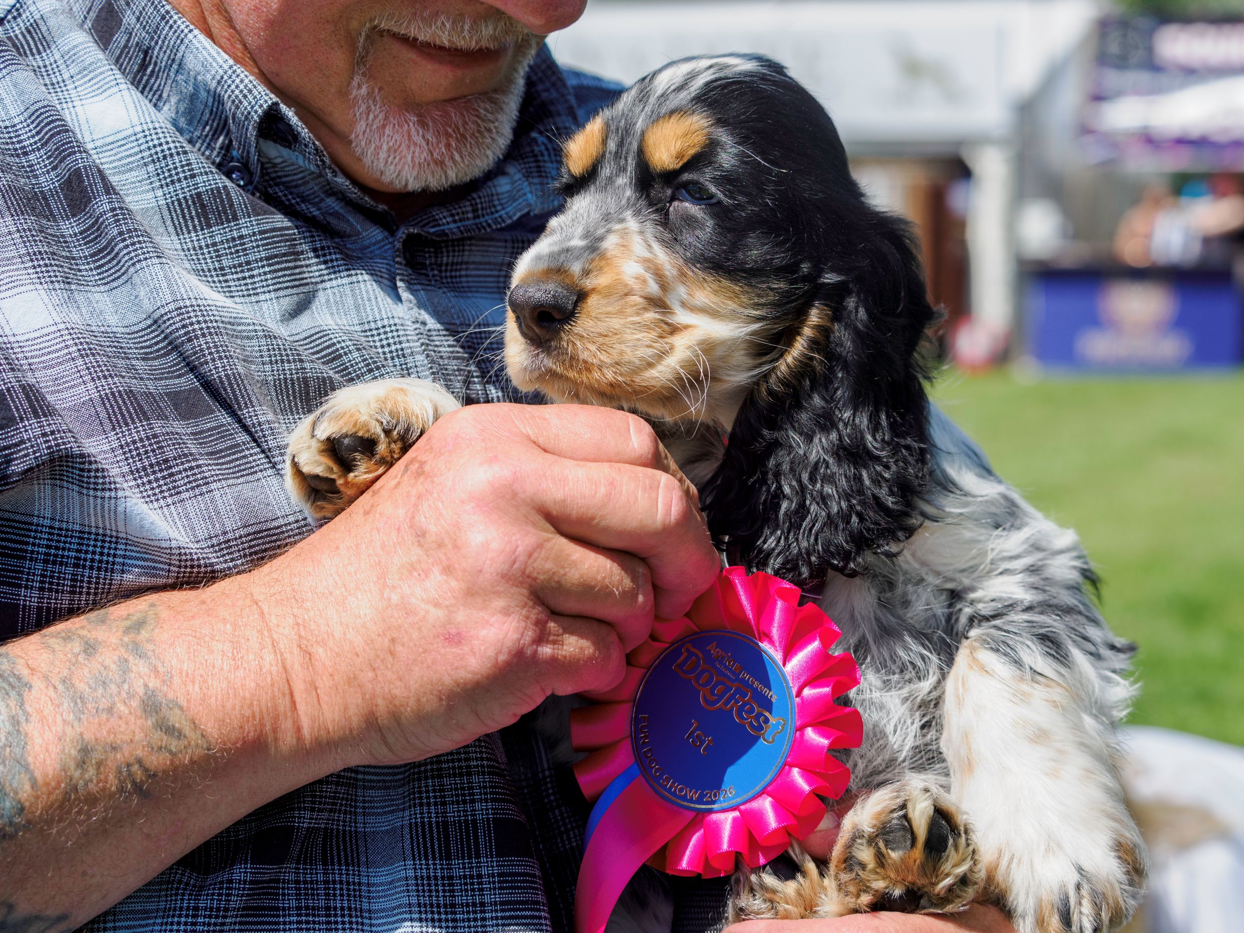 Man holding prize-winning puppy with blue rosette at dog show