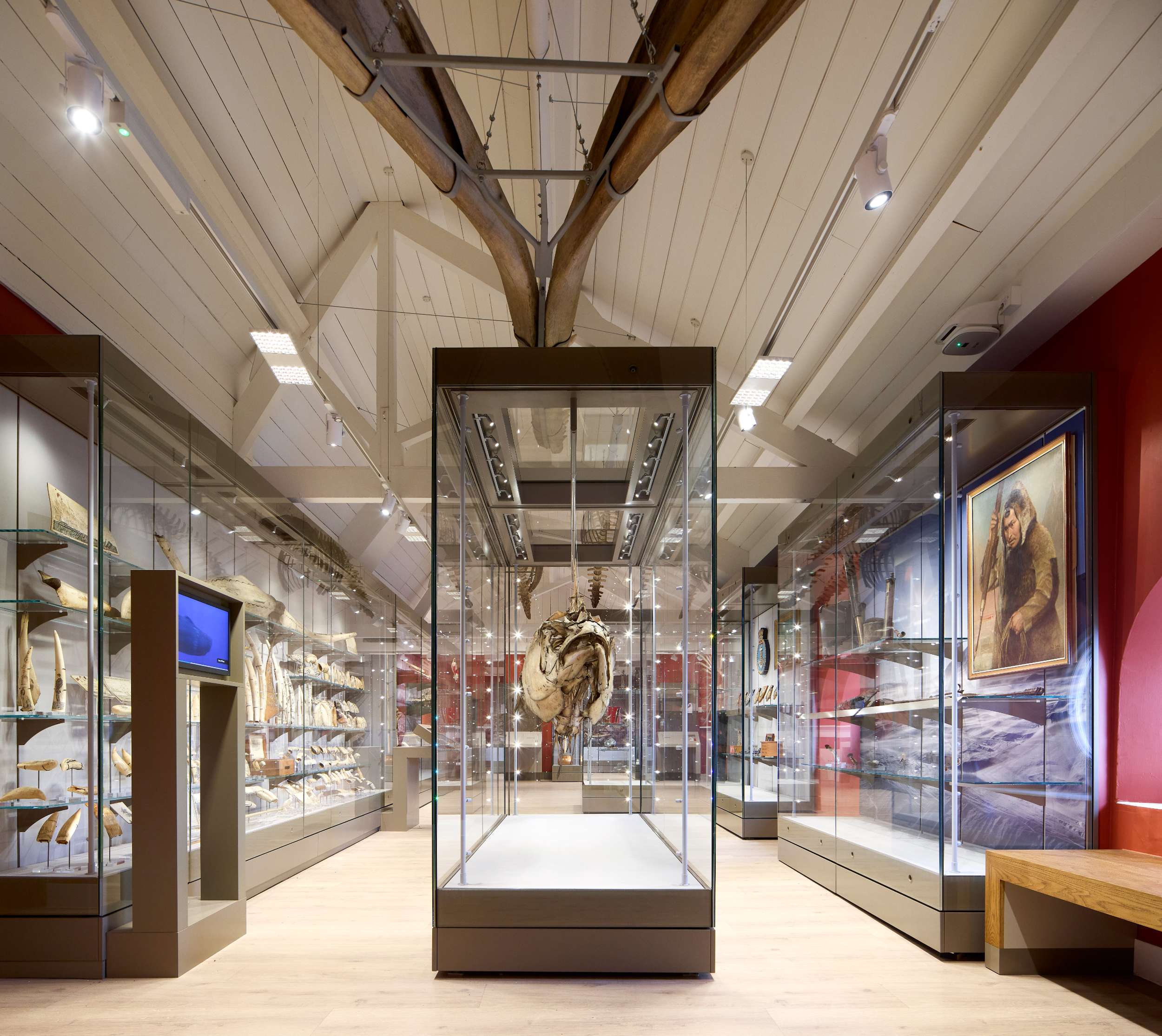 Natural history exhibit with fossils and artefacts in glass cases