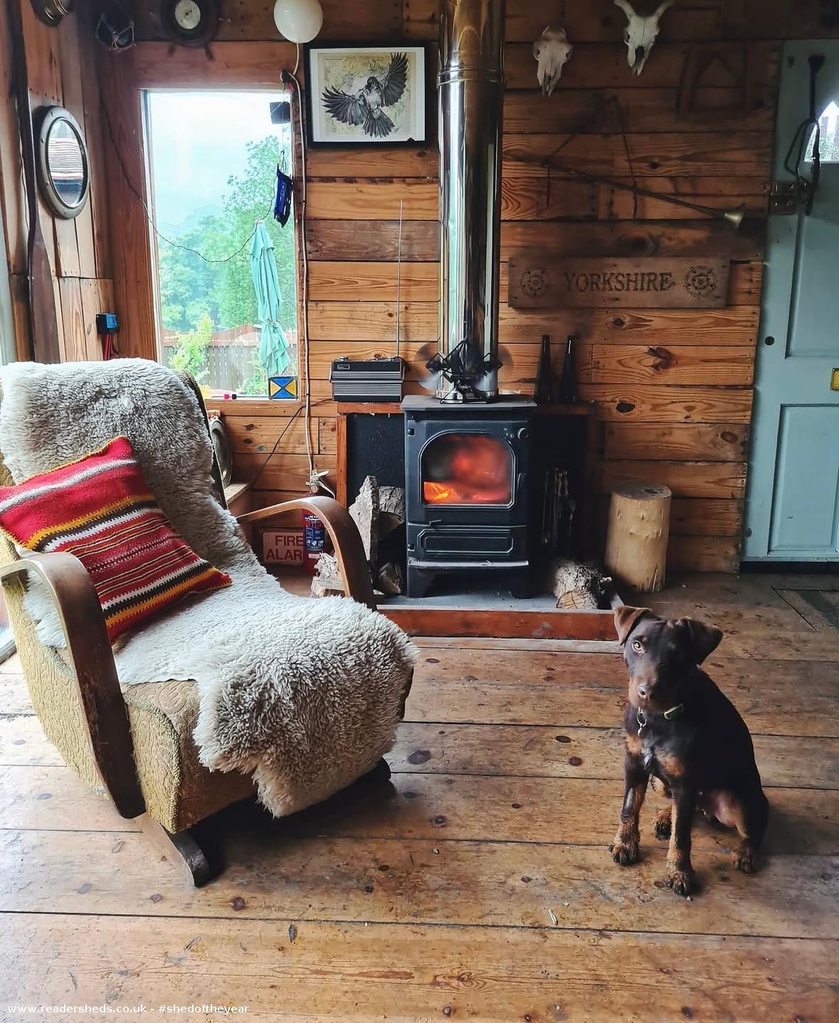Cozy wooden cabin interior with a dog by a lit stove