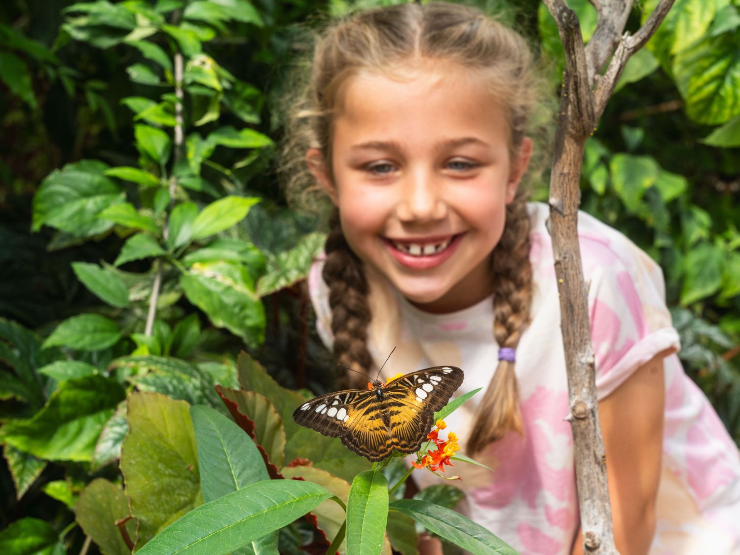 Smiling girl with braided hair observing a butterfly on a flower