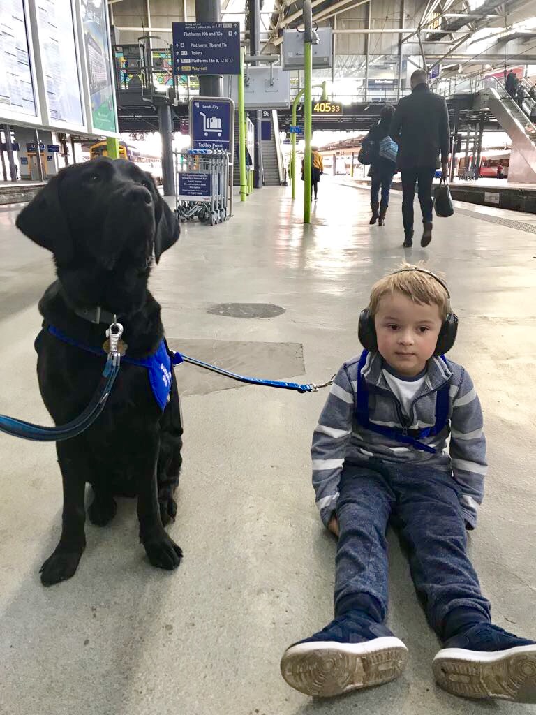 Assistance Dog Inspired a Brother of Autistic Teen Takes On First London Marathon in Honour of Life-Changing Support Dogs