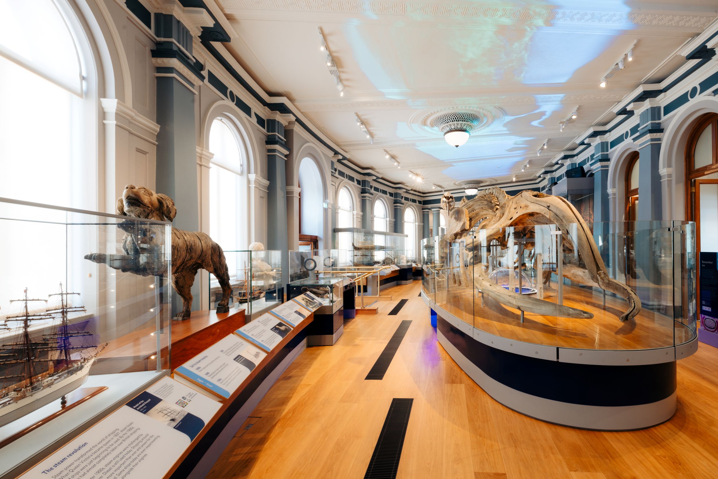Spacious museum gallery with ship models and animal skeletons