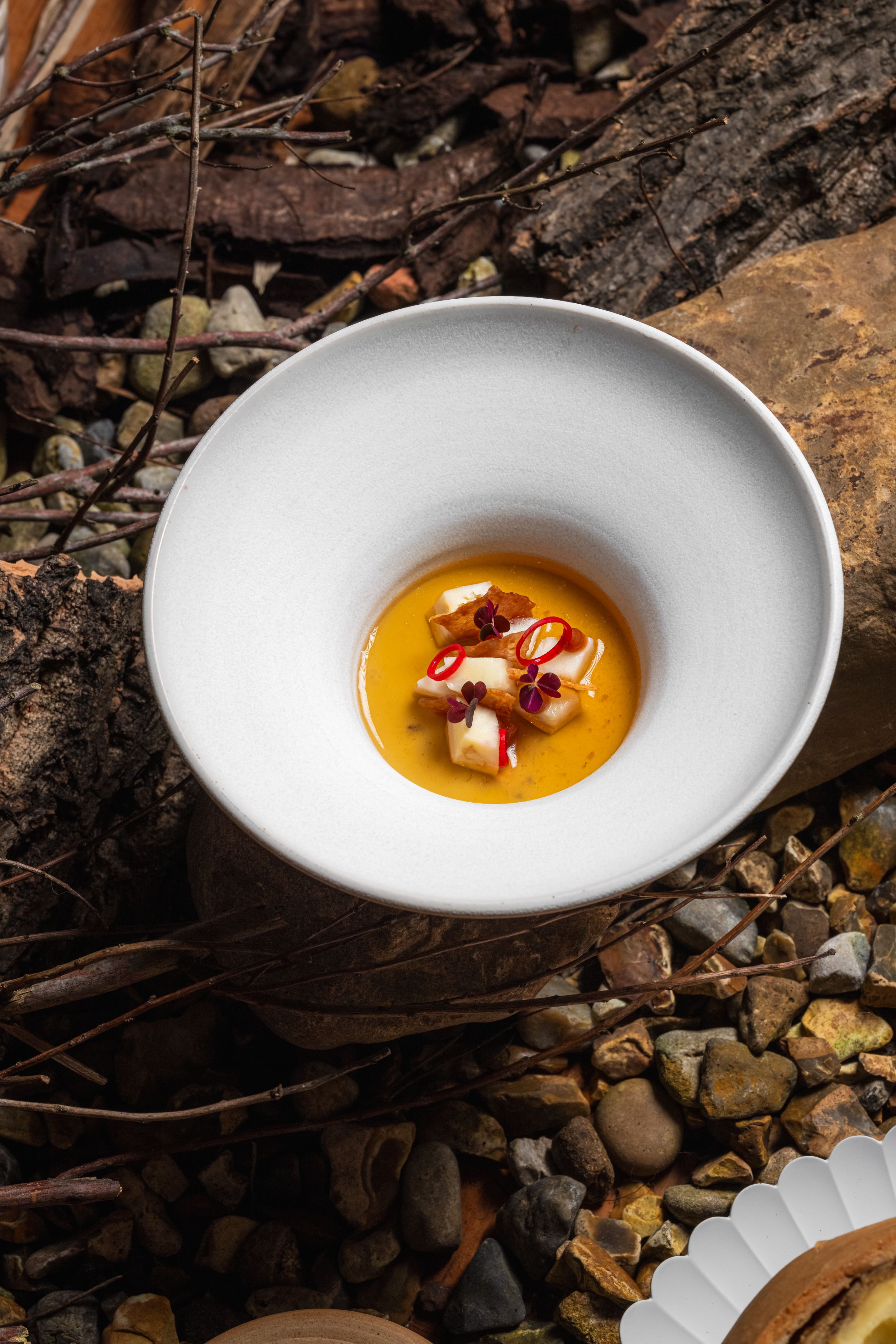 Gourmet dish of creamy soup with red chillies on rustic stones