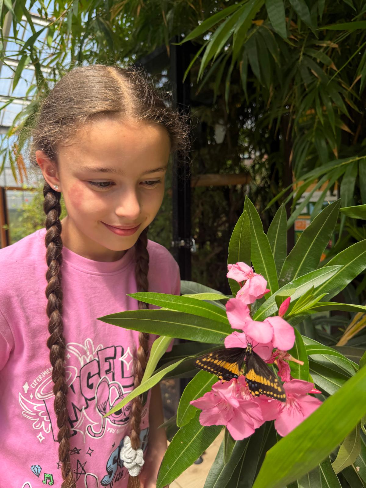 Girl with plaited hair smiling at butterfly on pink flowers