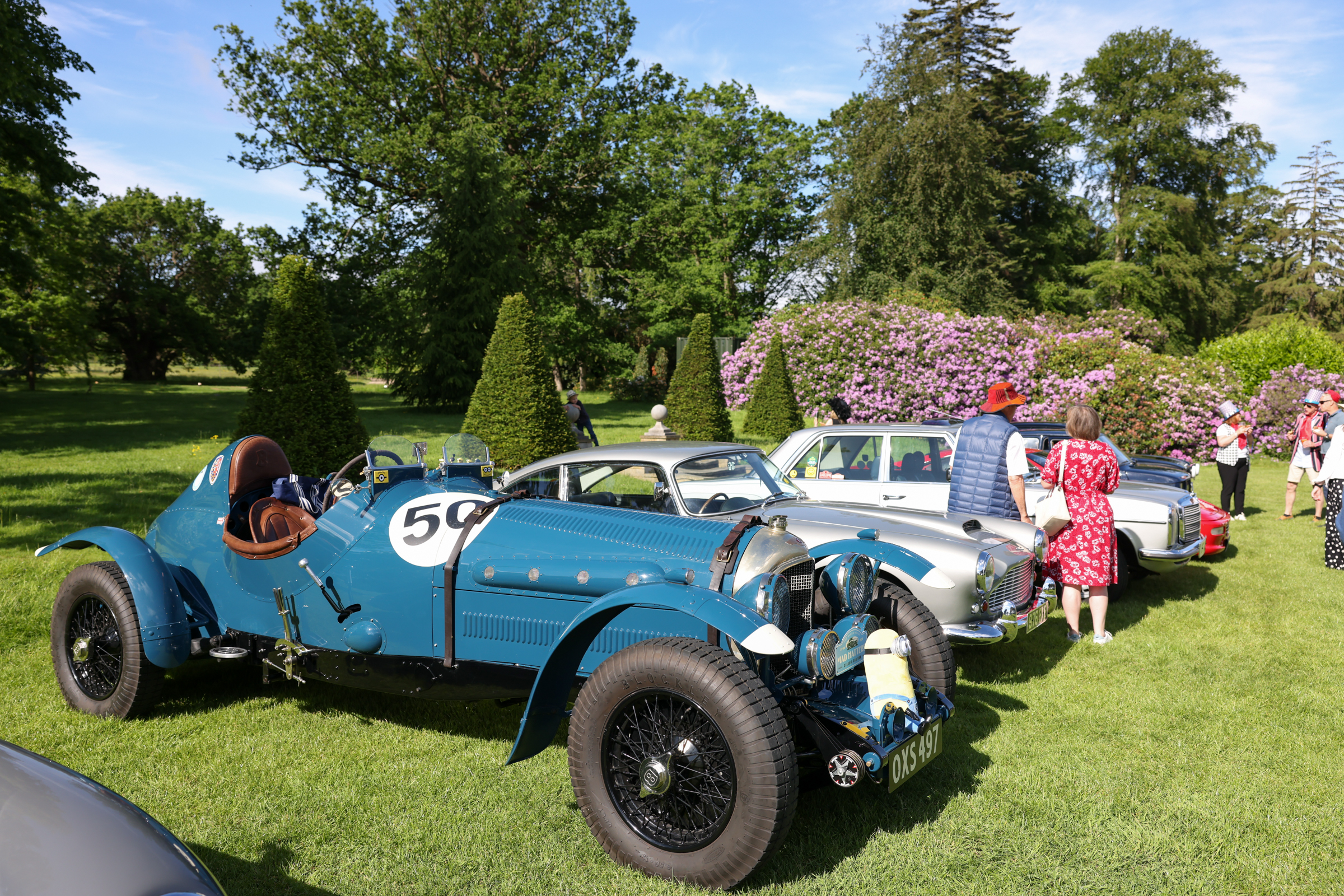 Vintage cars displayed on a sunny lawn with people admiring them