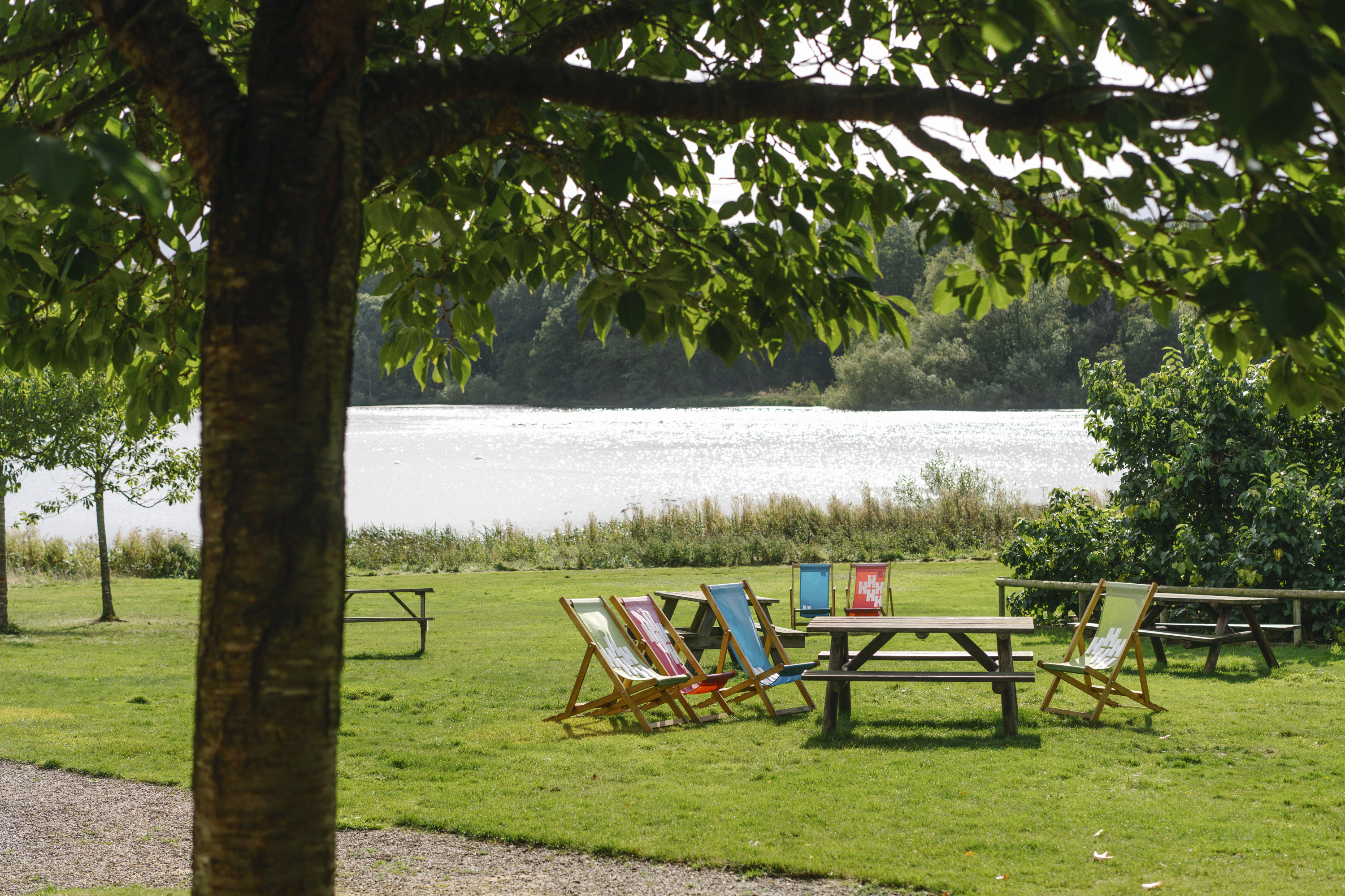 Harewood House Launches Summer Family Fun Programme from 18 July to 6 September 2026