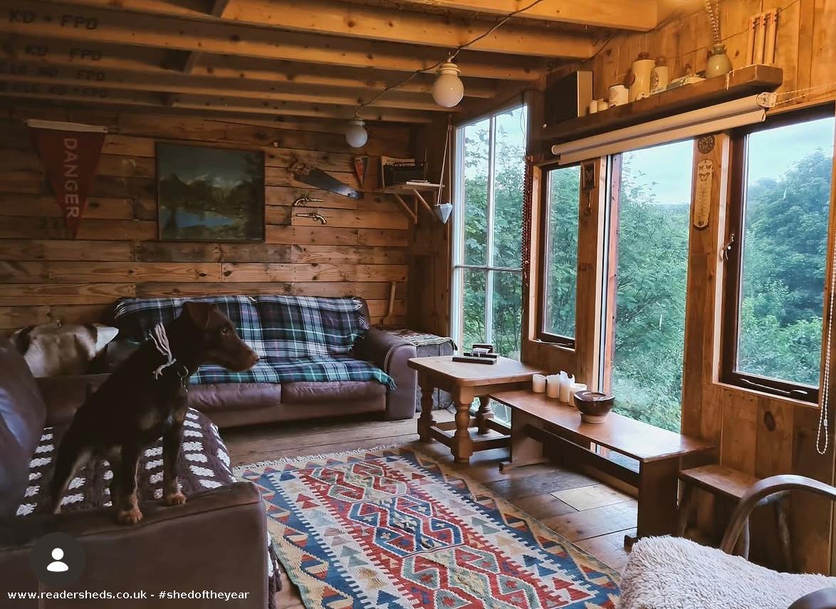 Cozy wooden cabin interior with large windows and a dog