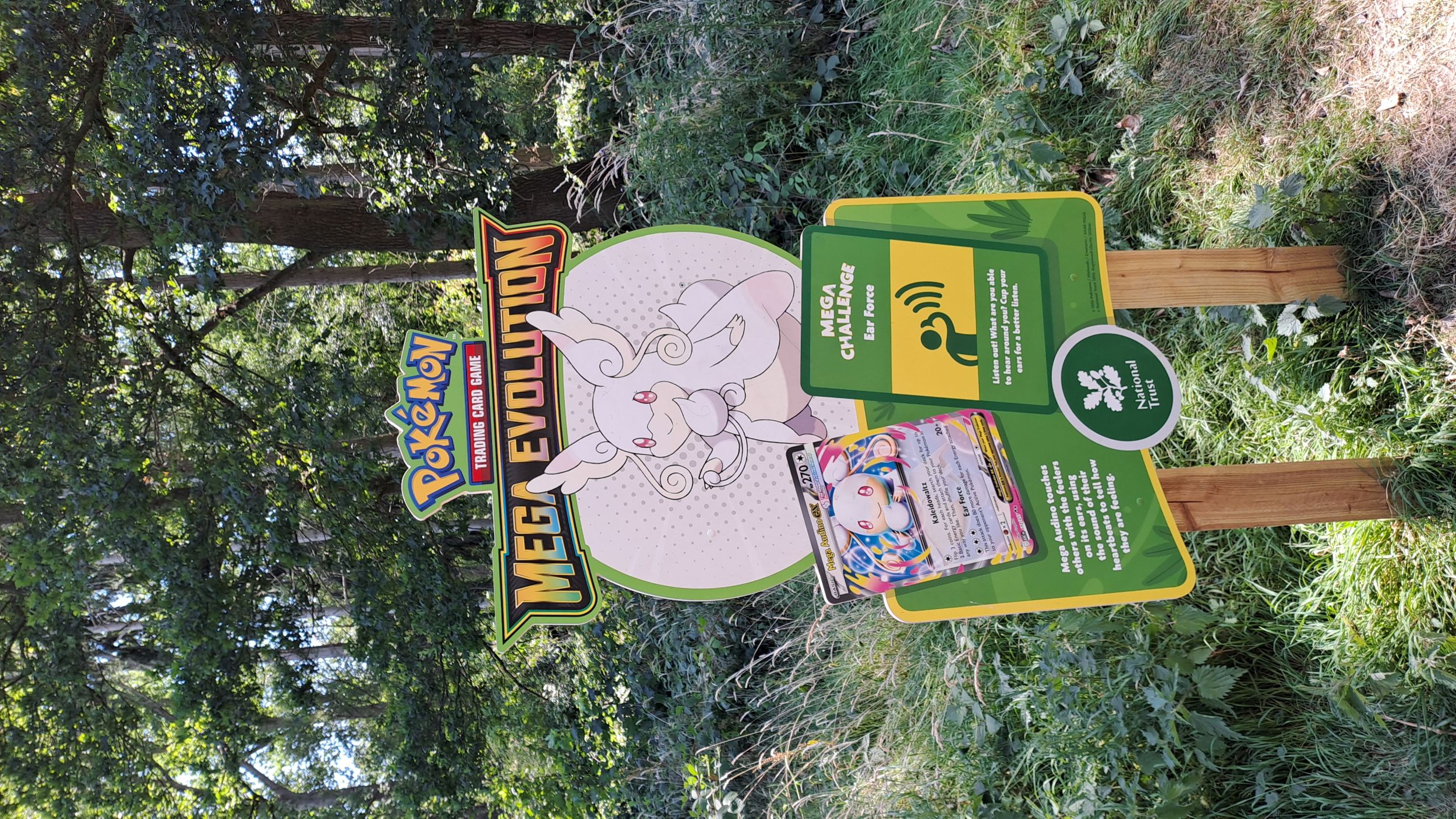 Pokemon Mega Evolution sign in wooded area with game card