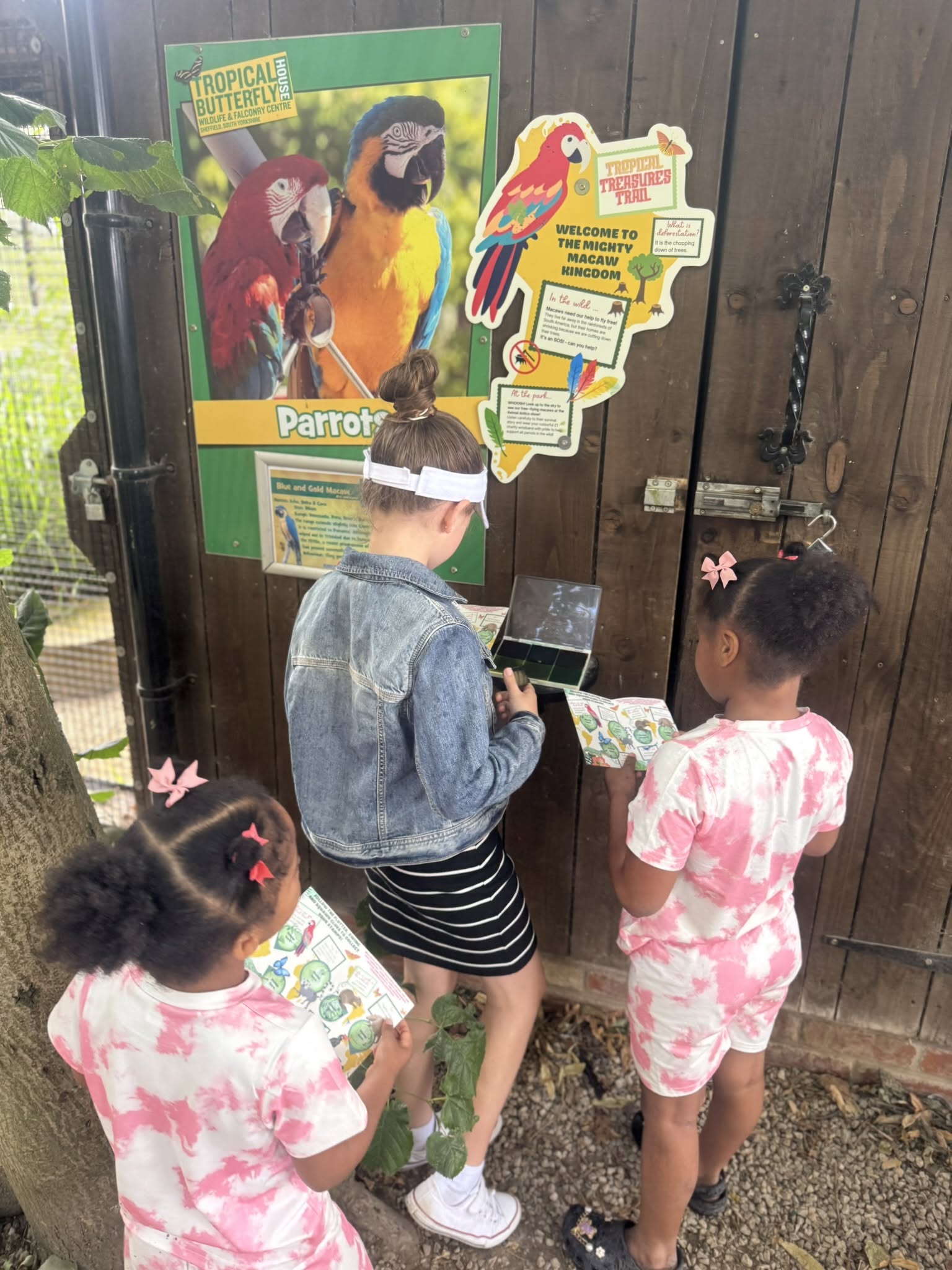 Children learning about parrots at a wildlife centre