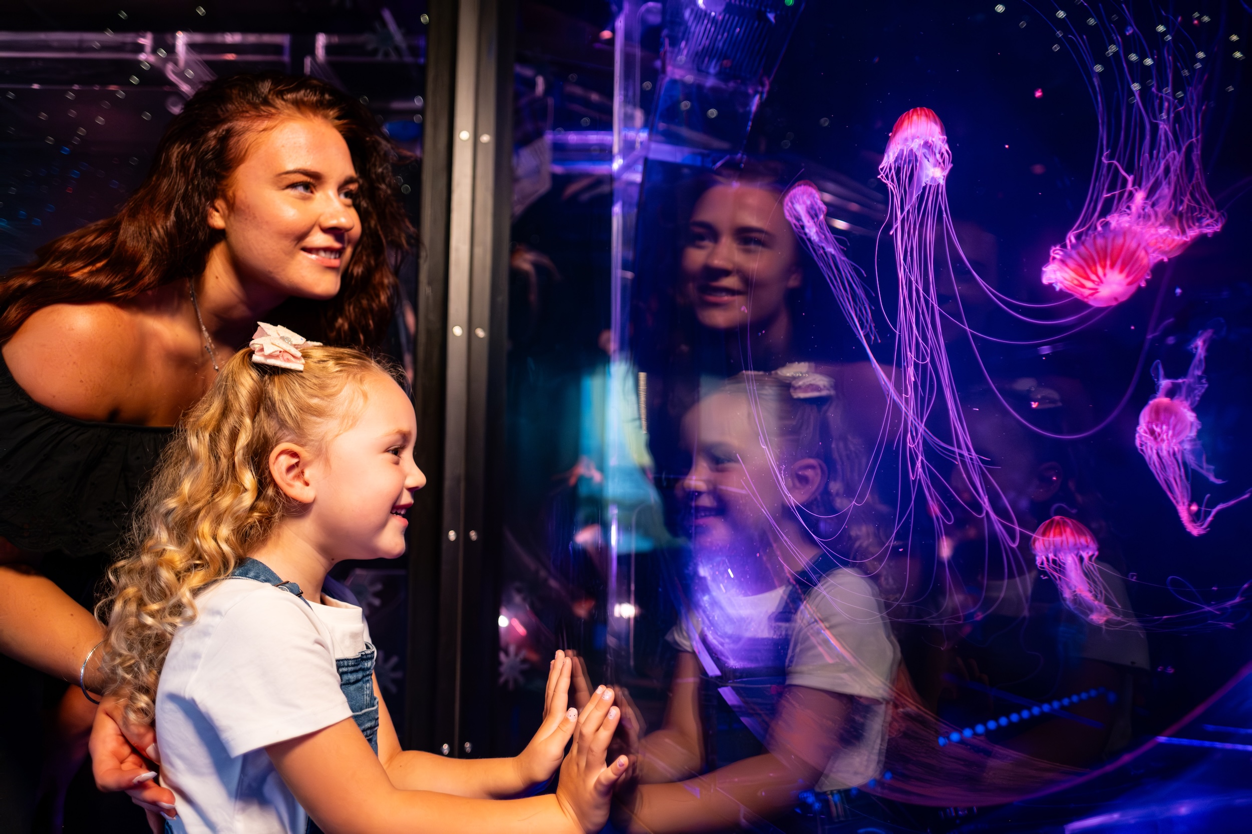 The Deep Celebrates Sir David Attenborough's 100th Birthday and Conservation Legacy