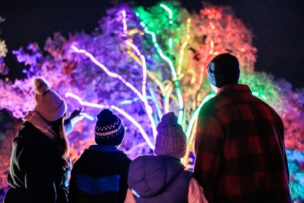 Family enjoying illuminated tree display with vibrant colours