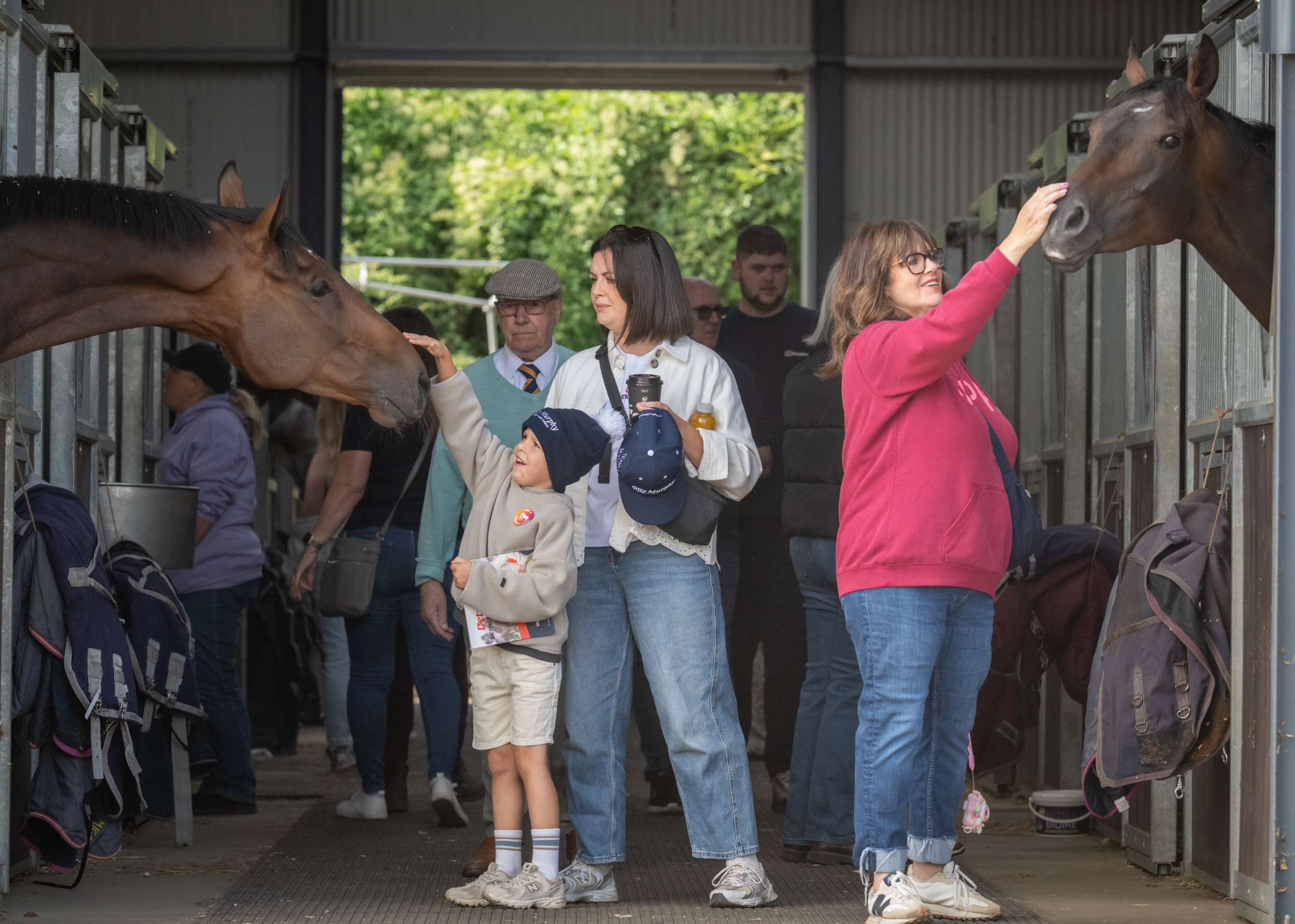 Visitors petting horses in a stable with open stalls