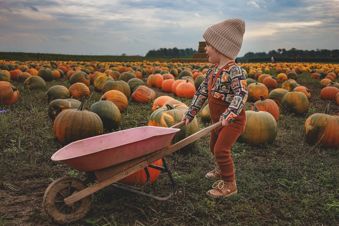 Child in autumn outfit pushing a wheelbarrow in pumpkin field