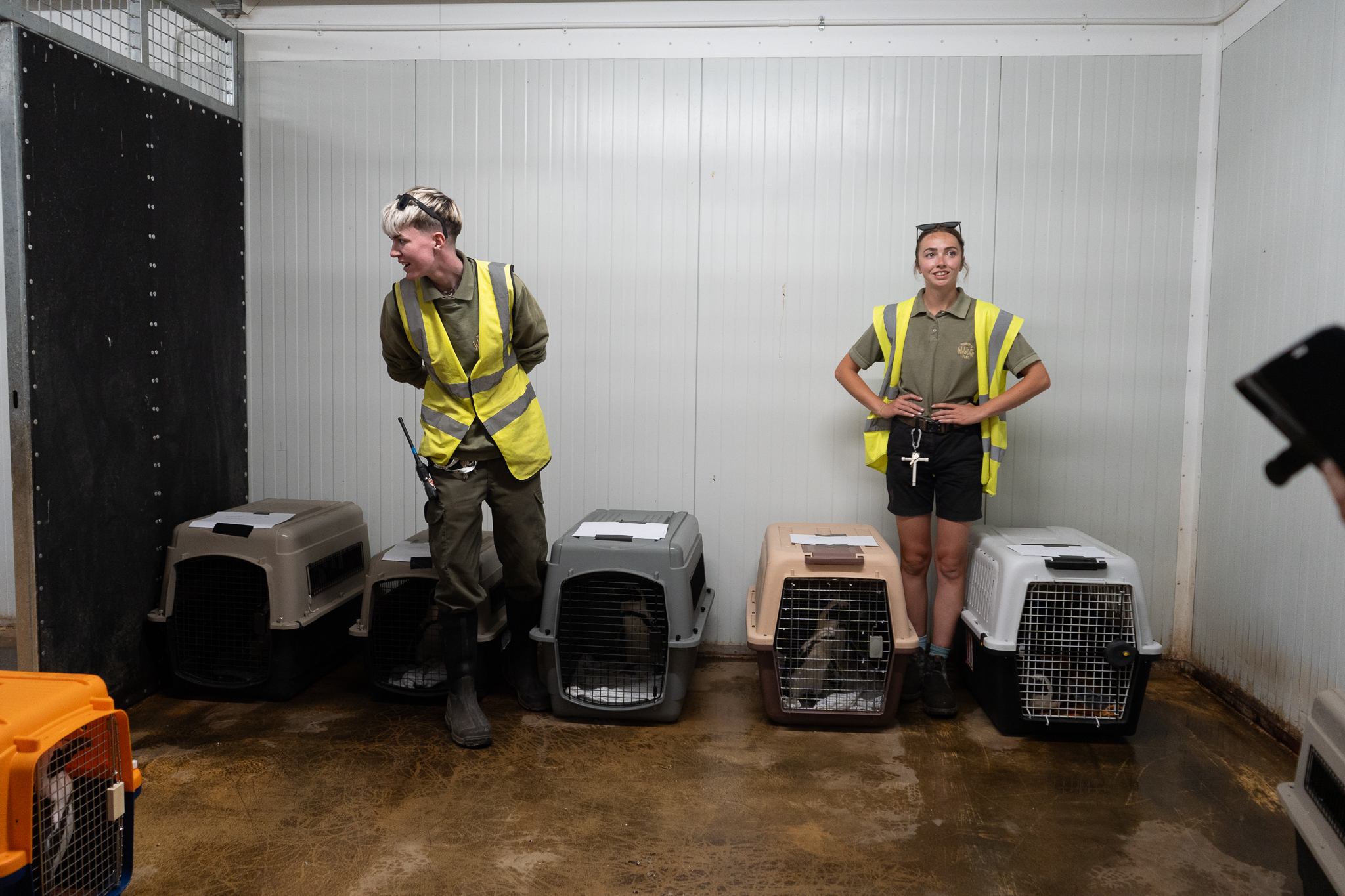 Two zookeepers in high-vis vests beside animal carriers