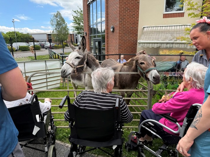 Donkeys interacting with seniors in wheelchairs at a care home