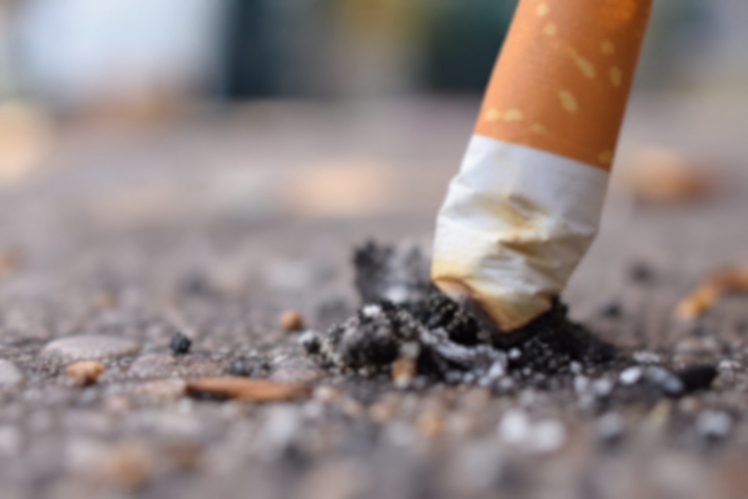Close-up of a cigarette butt stubbed out on cobblestones