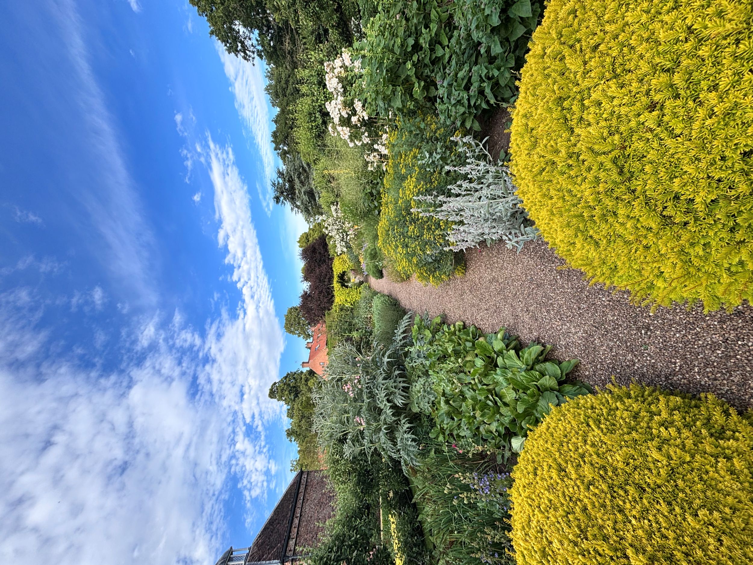 Lush garden path with blooming flowers under a blue sky