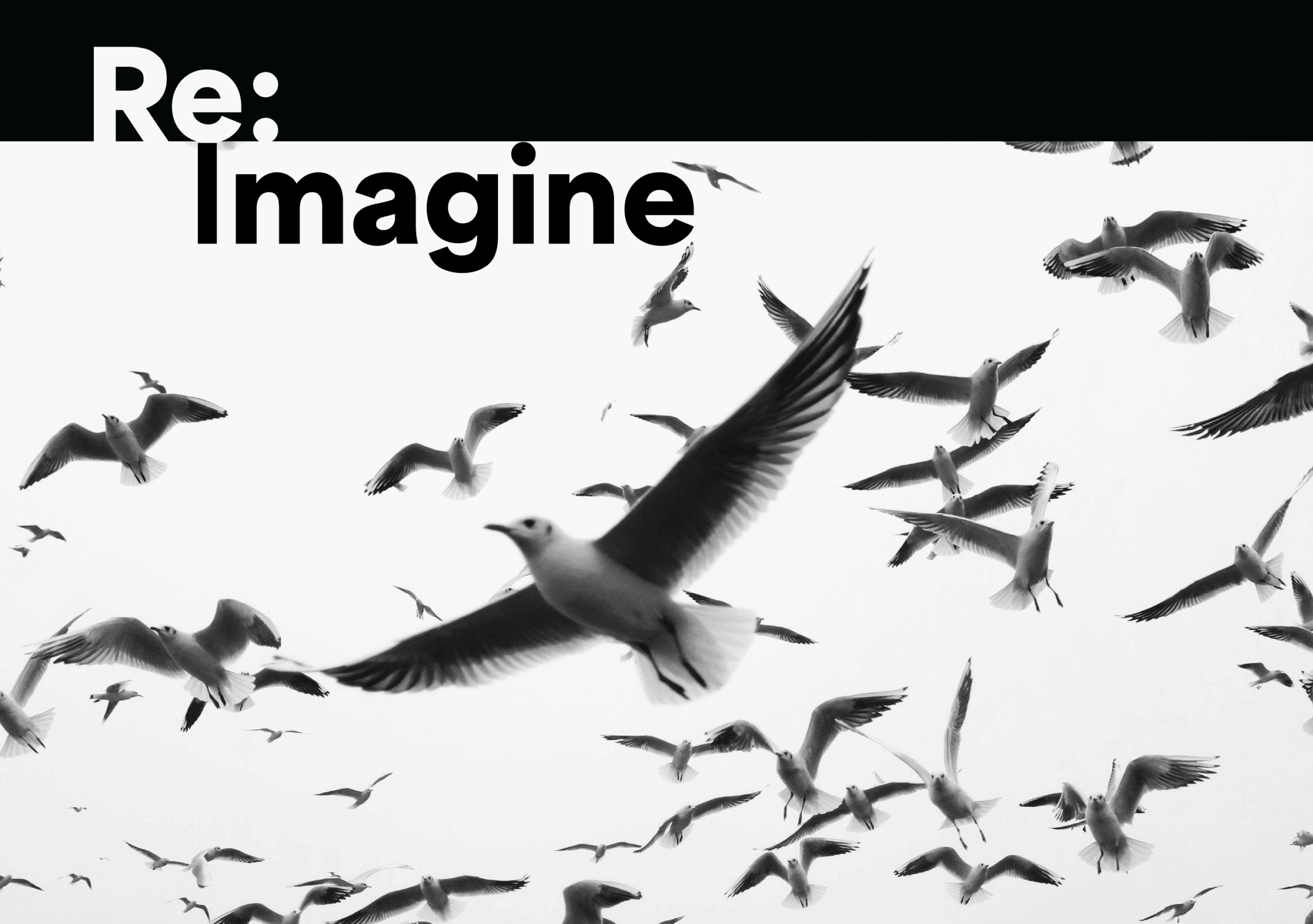Flock of seagulls flying against a cloudy sky