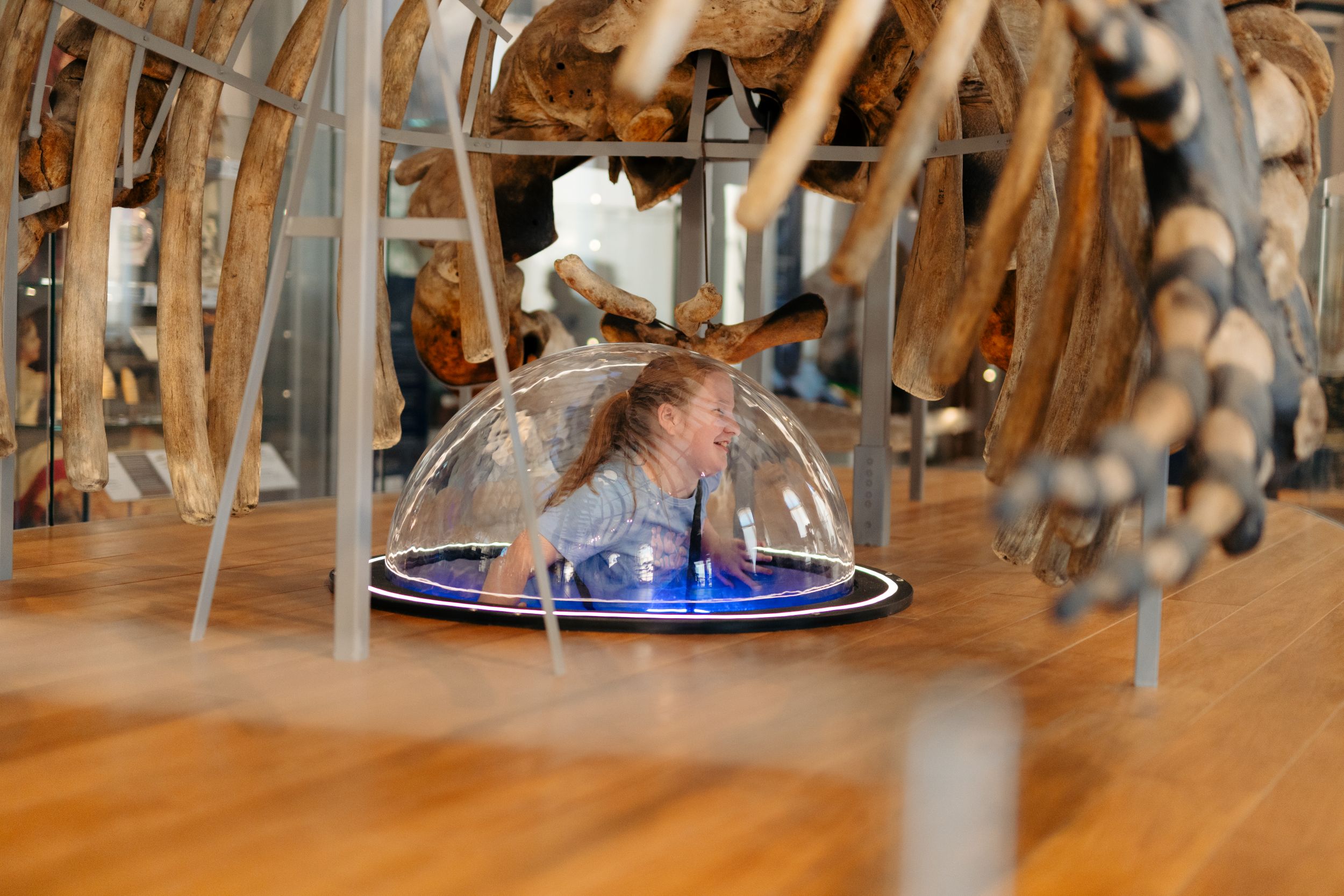 Child inside glass dome under whale skeleton exhibit