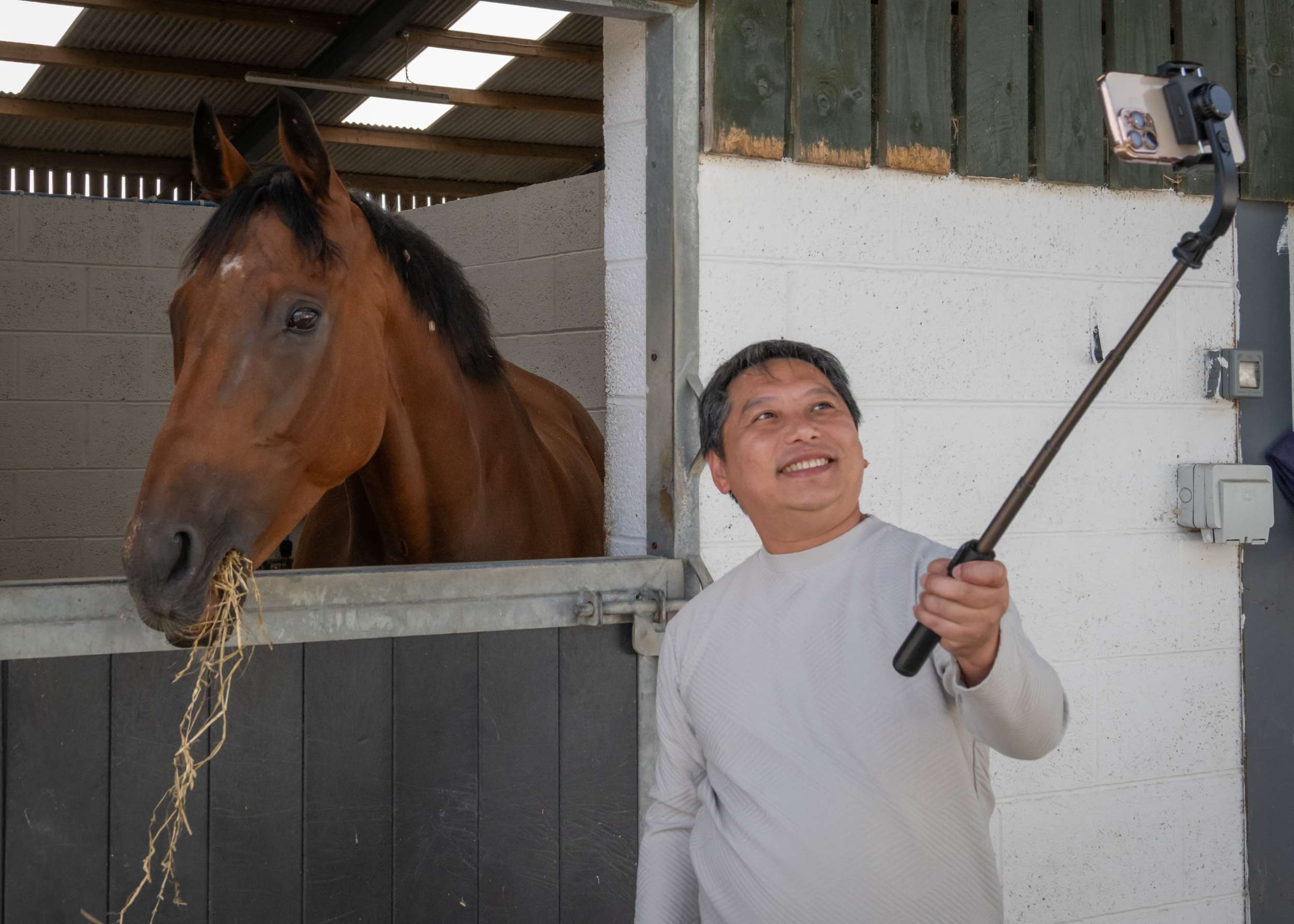 Man taking selfie with brown horse in stable, both looking cheerful