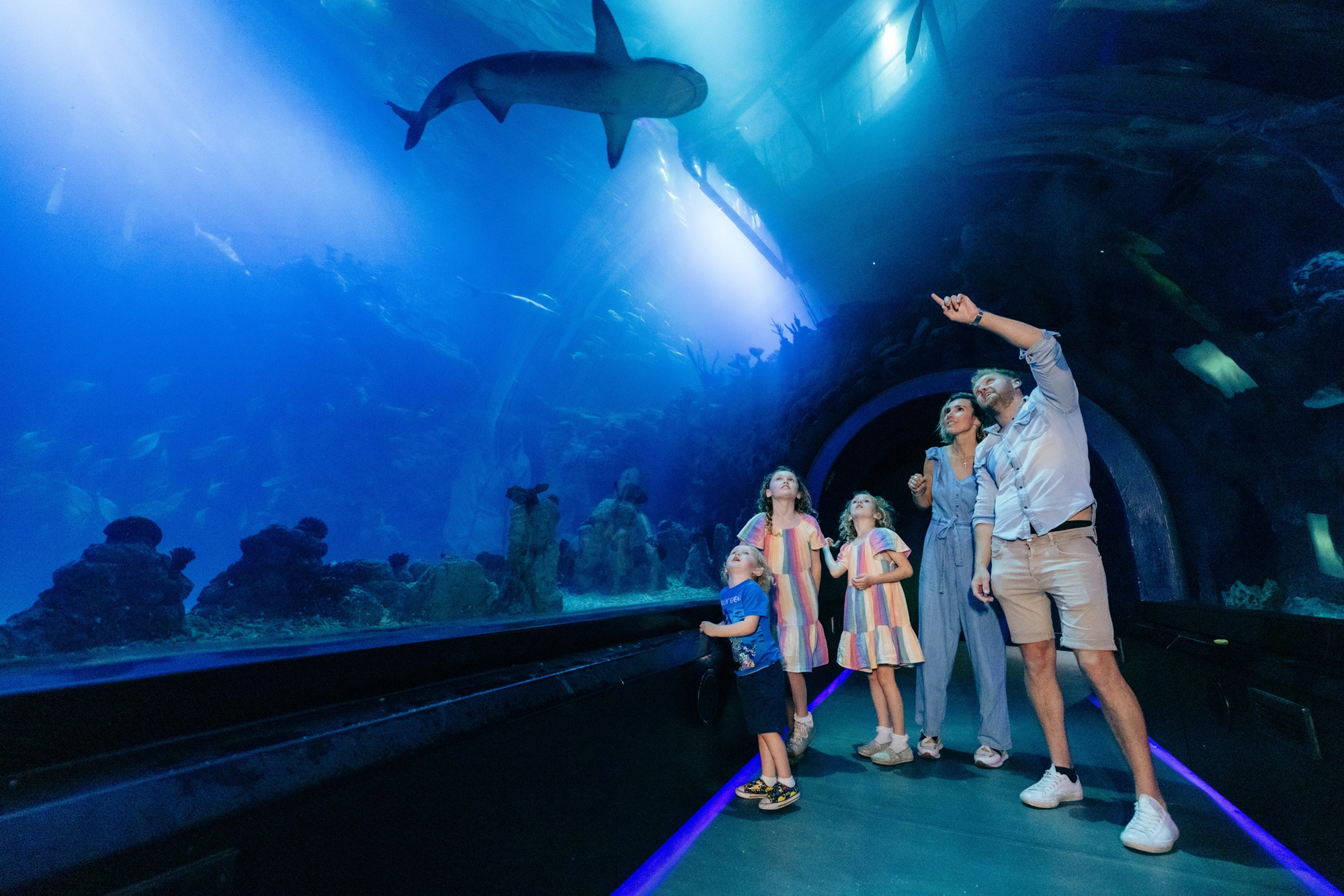 Family observing sharks in an underwater tunnel at aquarium