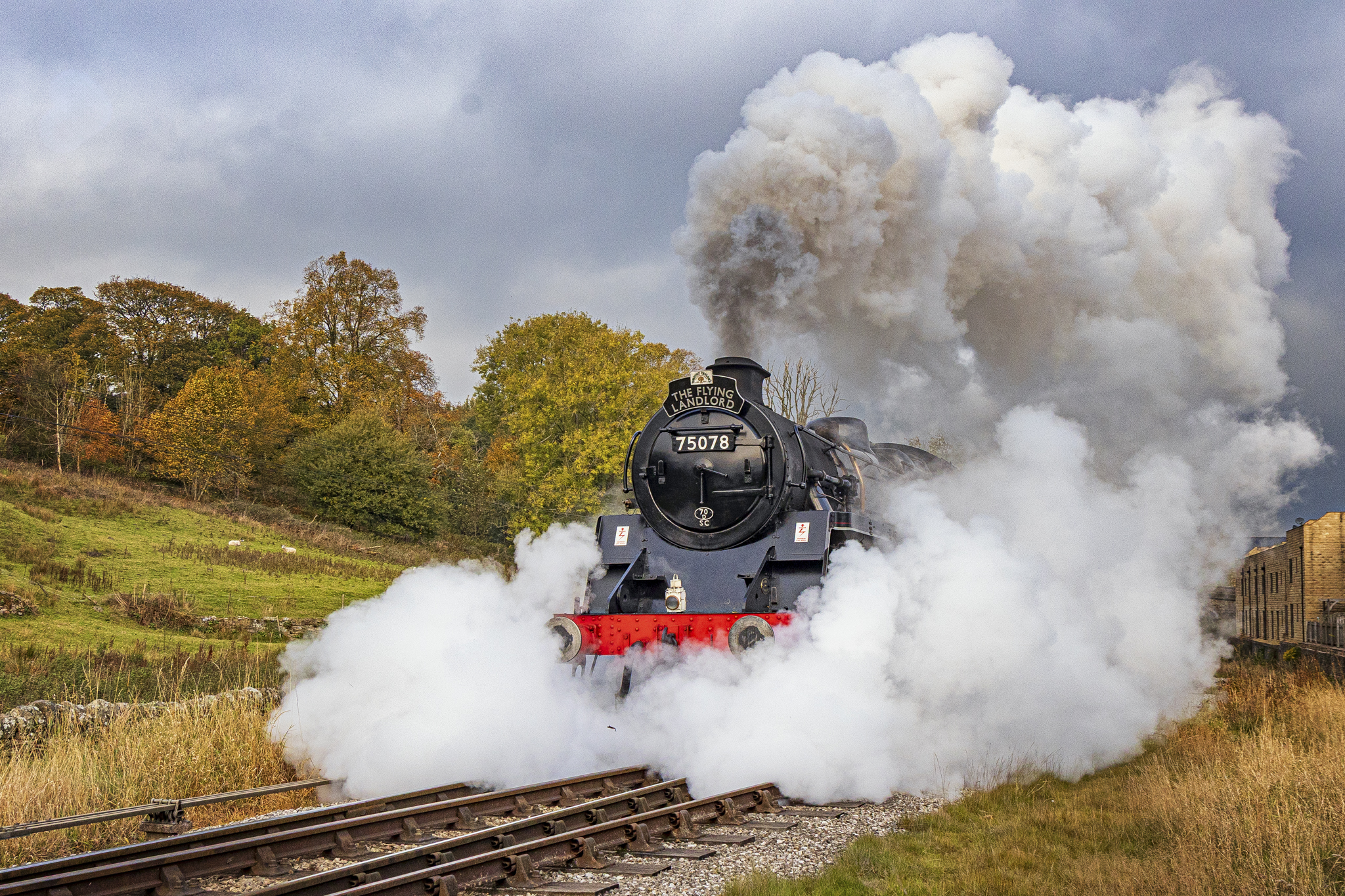 Steam train travelling through autumn countryside with smoke