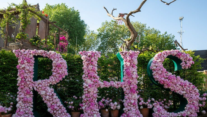 The Royal Horticultural Society Encourages Everyone to ‘Be Curious’ during National Gardening Week 2026, 27 April – 3 May: Your 7-Day Guide to Getting Started