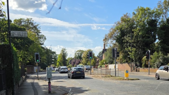 Quiet suburban street with traffic lights and green trees