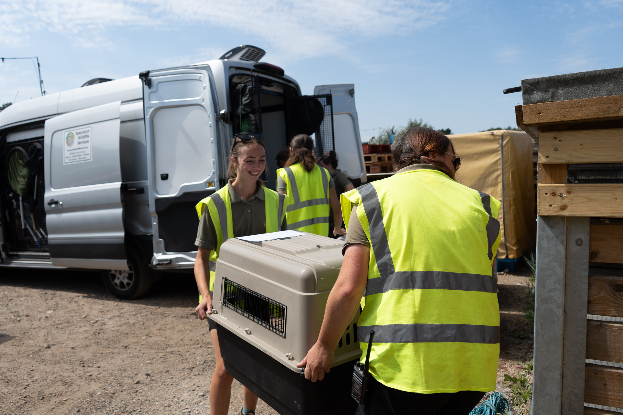 Volunteers in high-visibility vests carrying a pet crate near a van