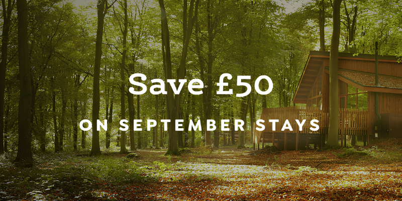 Wooden cabin in sunlit autumn forest with discount text