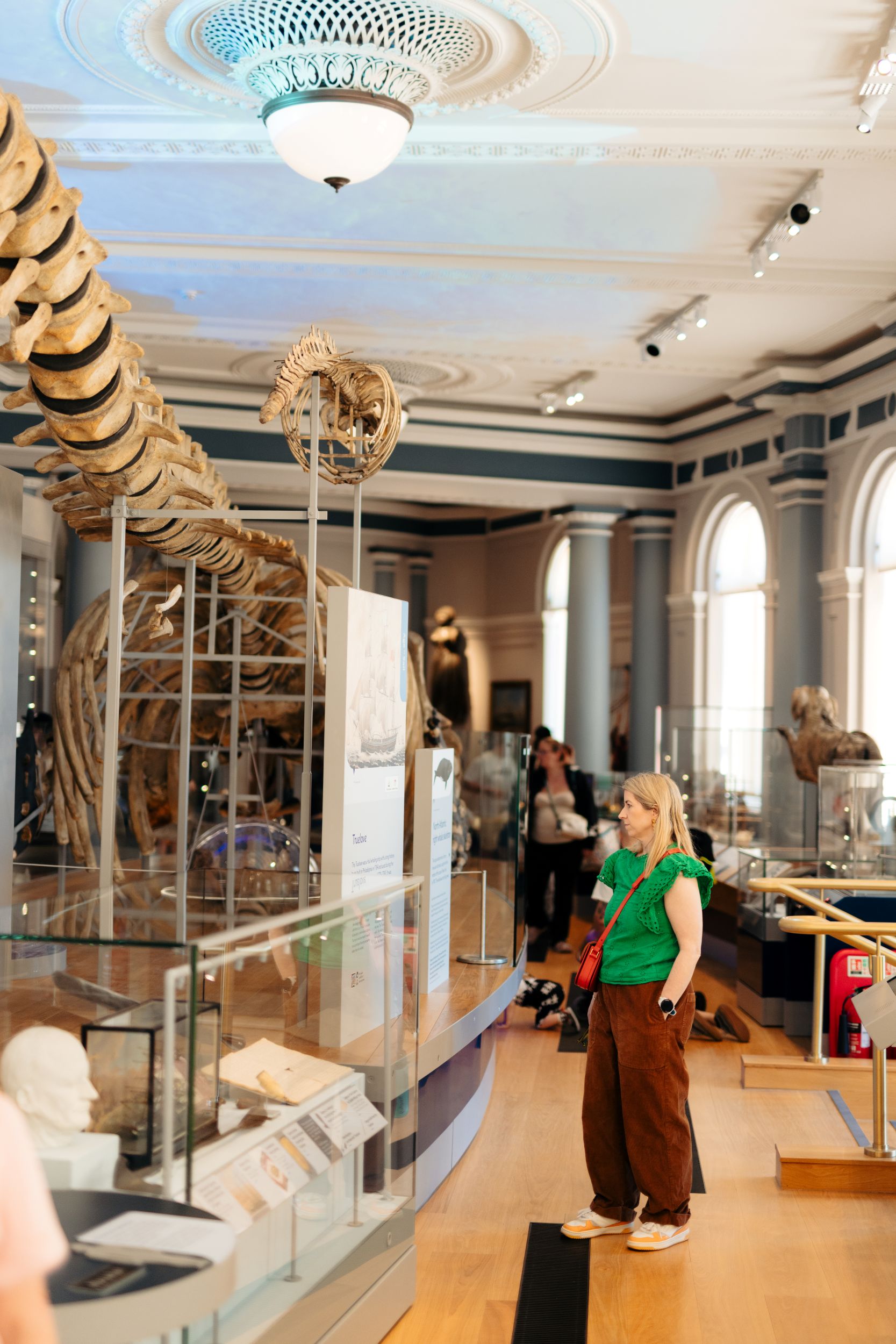 Visitor exploring dinosaur skeleton exhibit in museum gallery