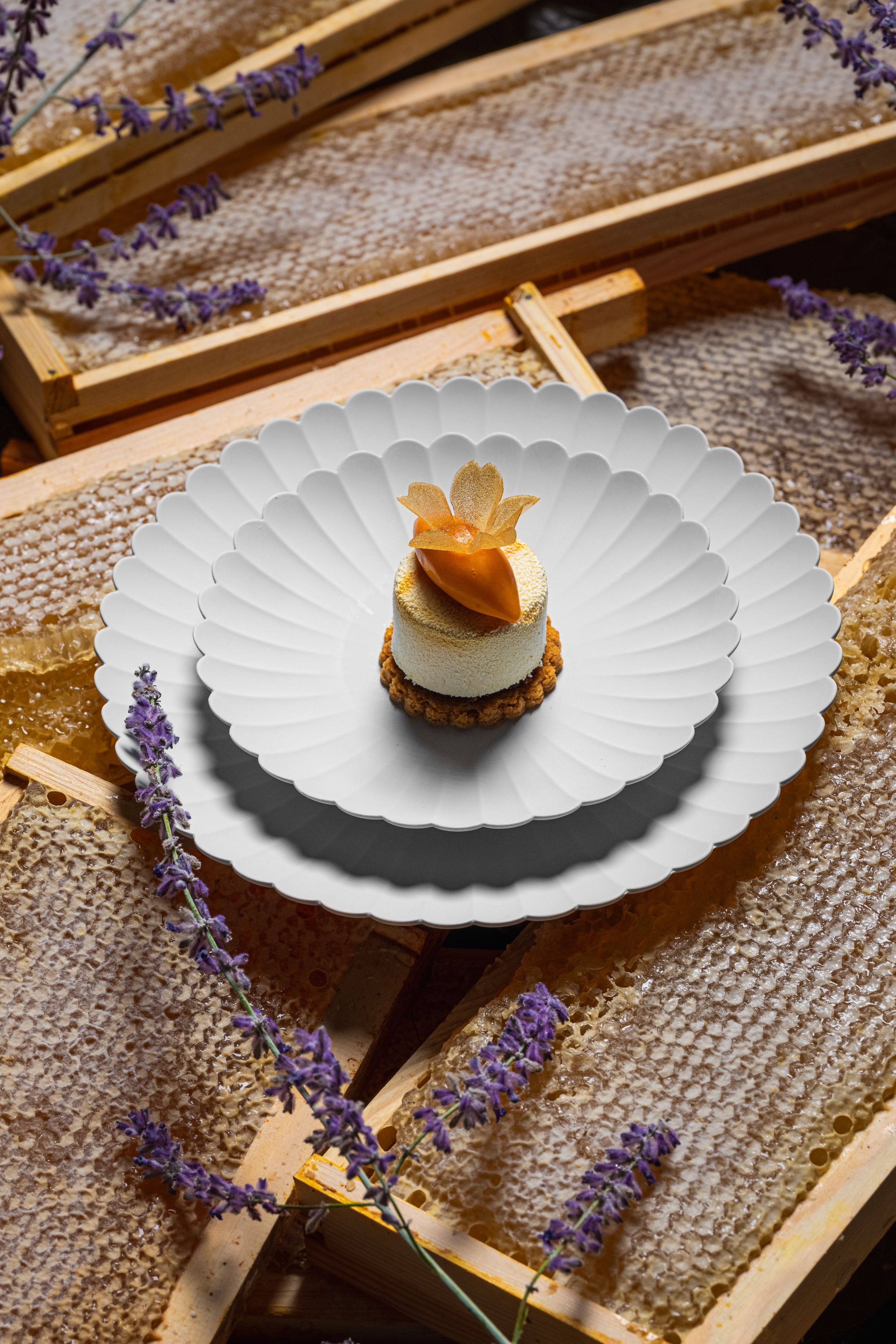 Elegant dessert with flower garnish on white plate among honeycombs