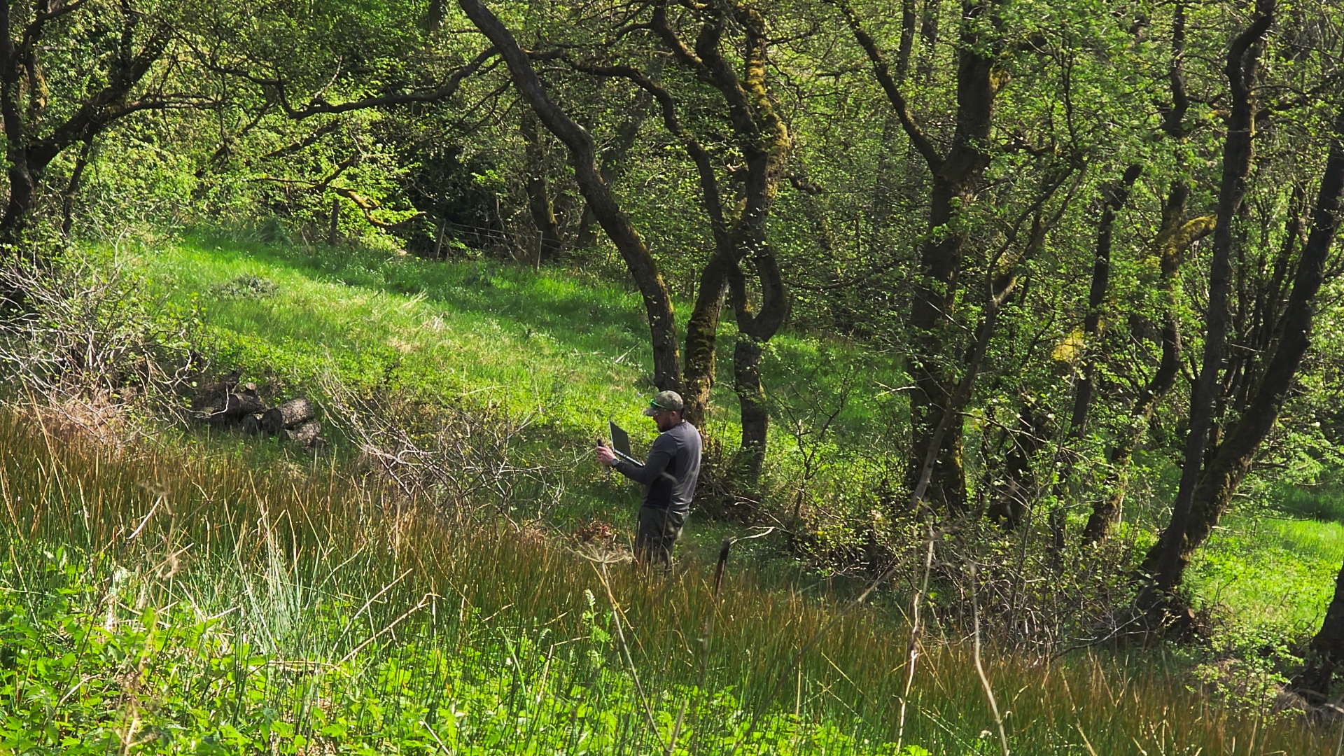 Person with camera in lush green Yorkshire woodland