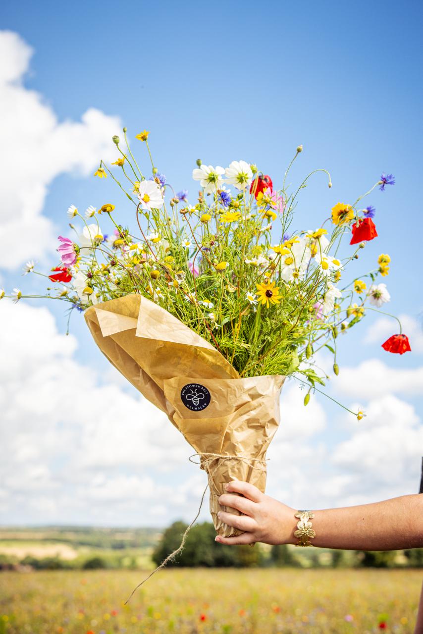 Hand holding a bouquet of wildflowers in a sunny Yorkshire field