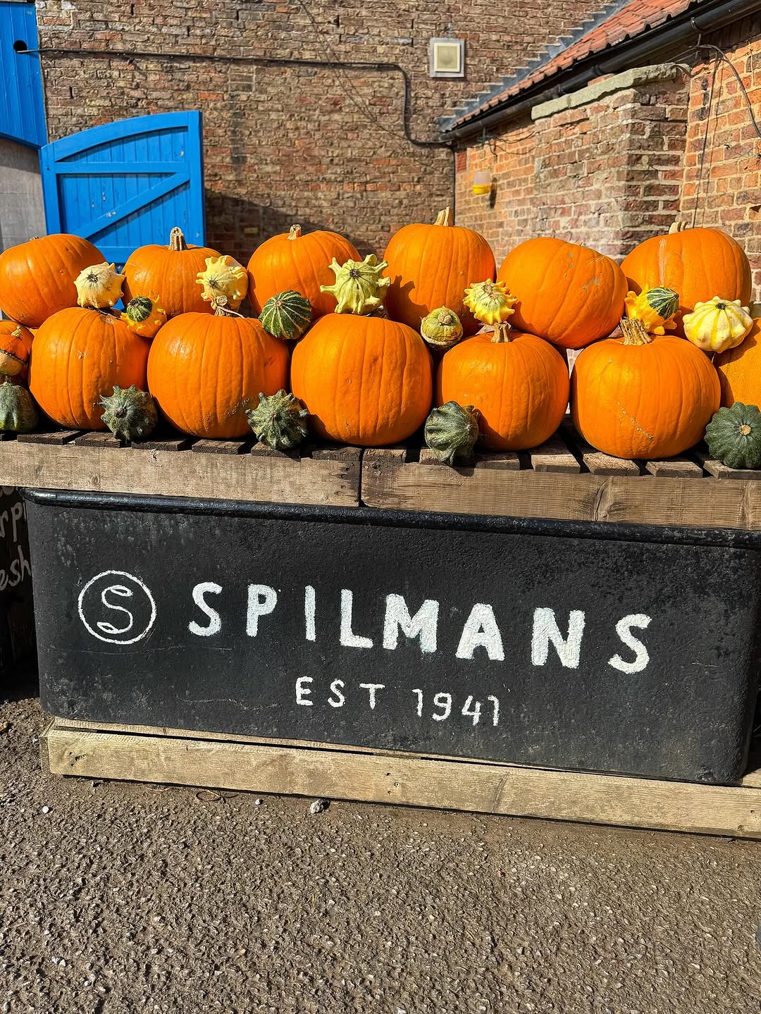 Display of pumpkins and gourds on wooden crates at Spilmans farm