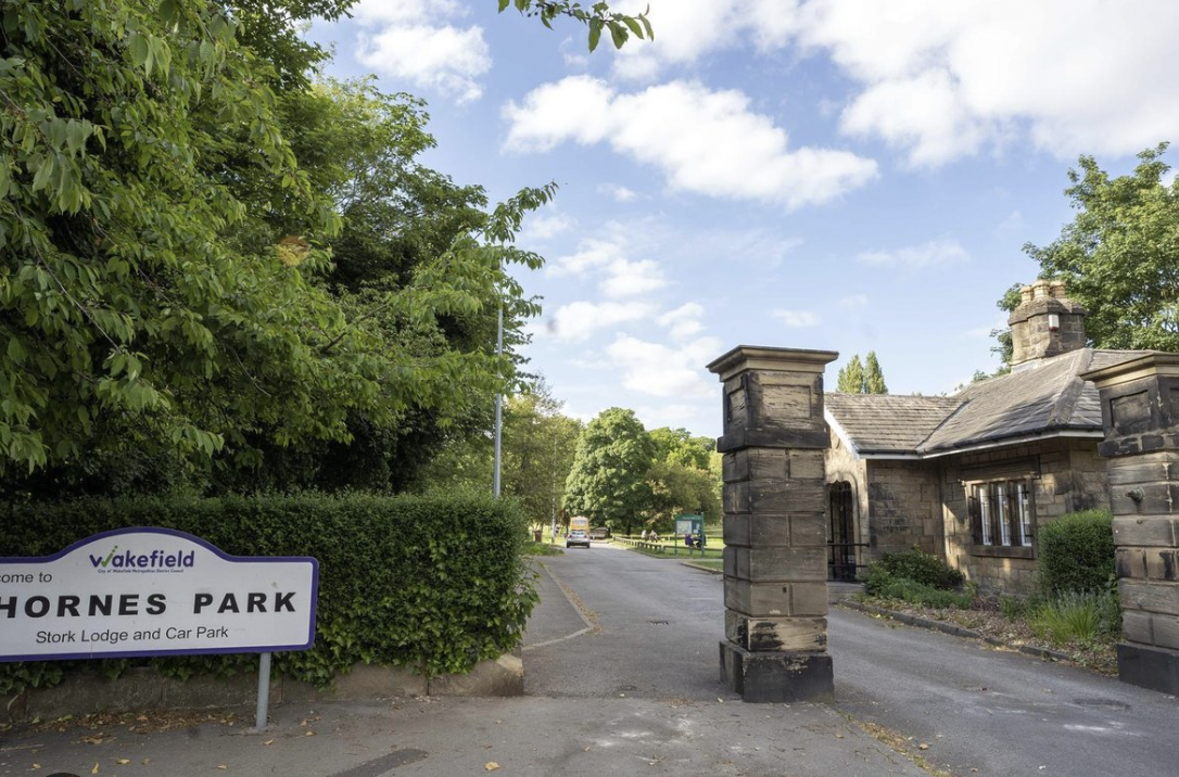 Free Tree Giveaway Returns to Wakefield This Weekend: Here’s How to Get Yours