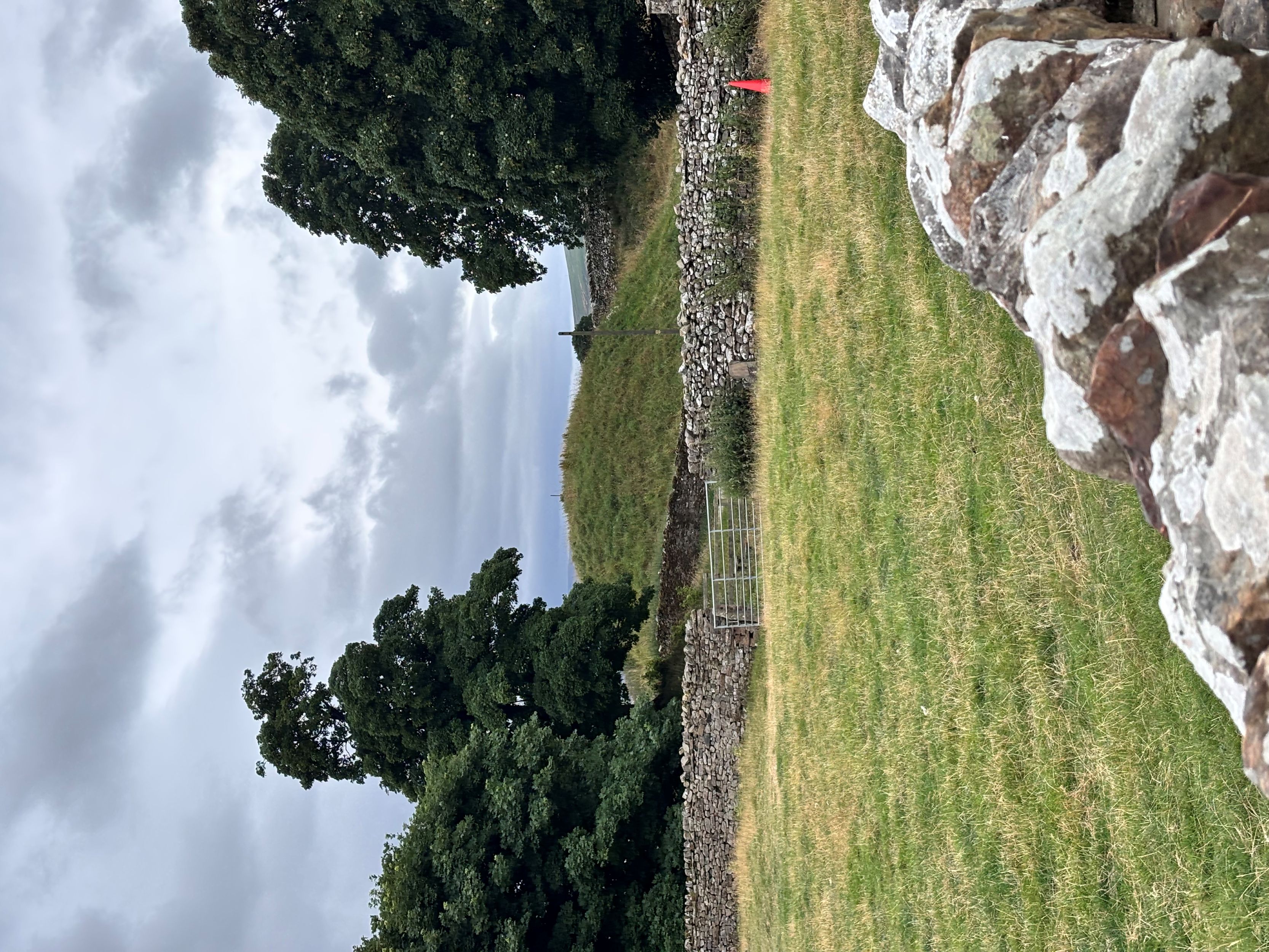 Green hill with stone walls and trees under a cloudy sky