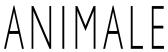 Animale BR
